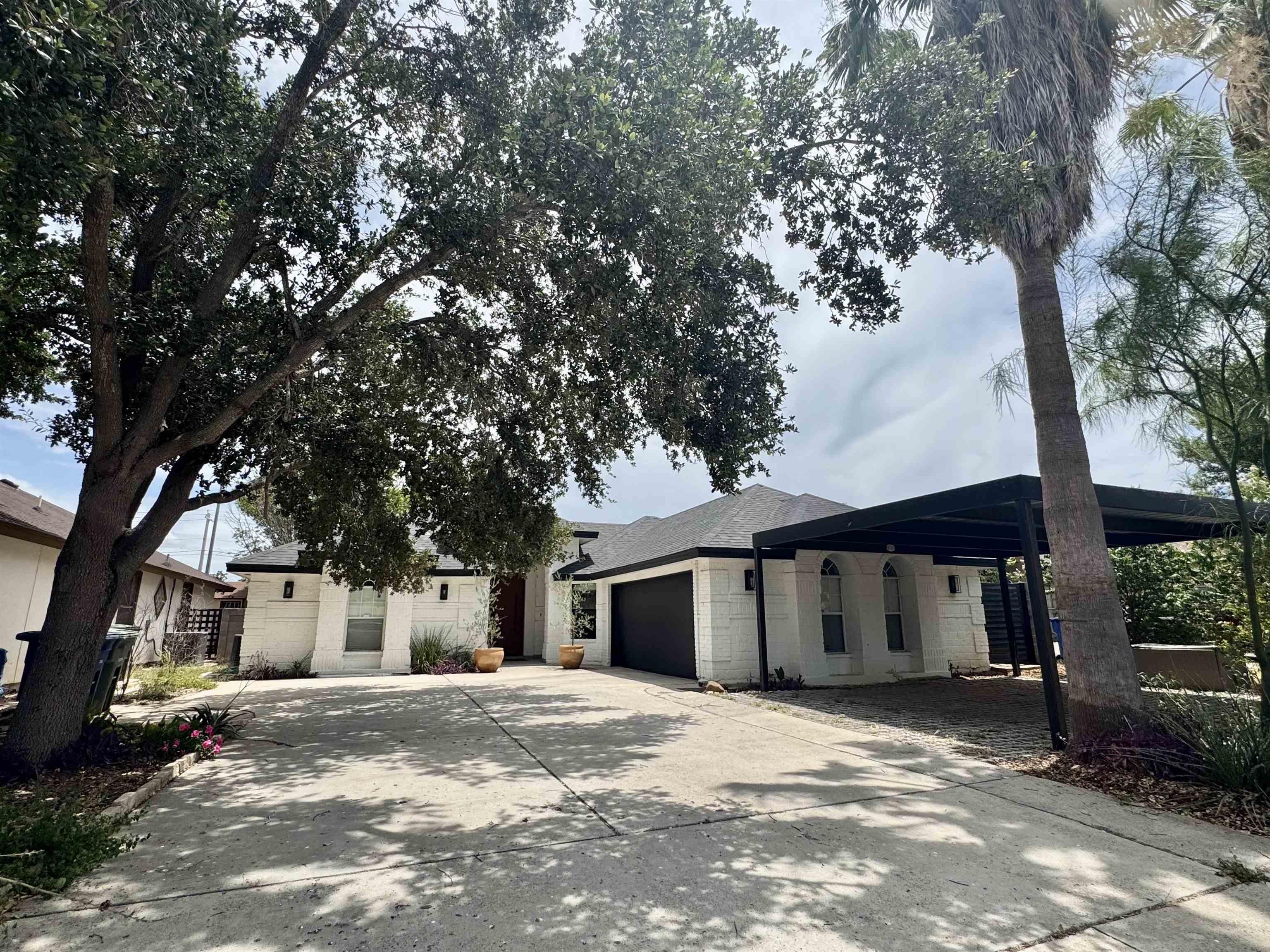 3113 Foggy Lp Property Photo 1