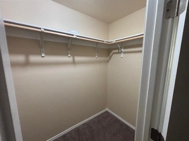 8605 Owlcreek Pass Ct Property Photo 18