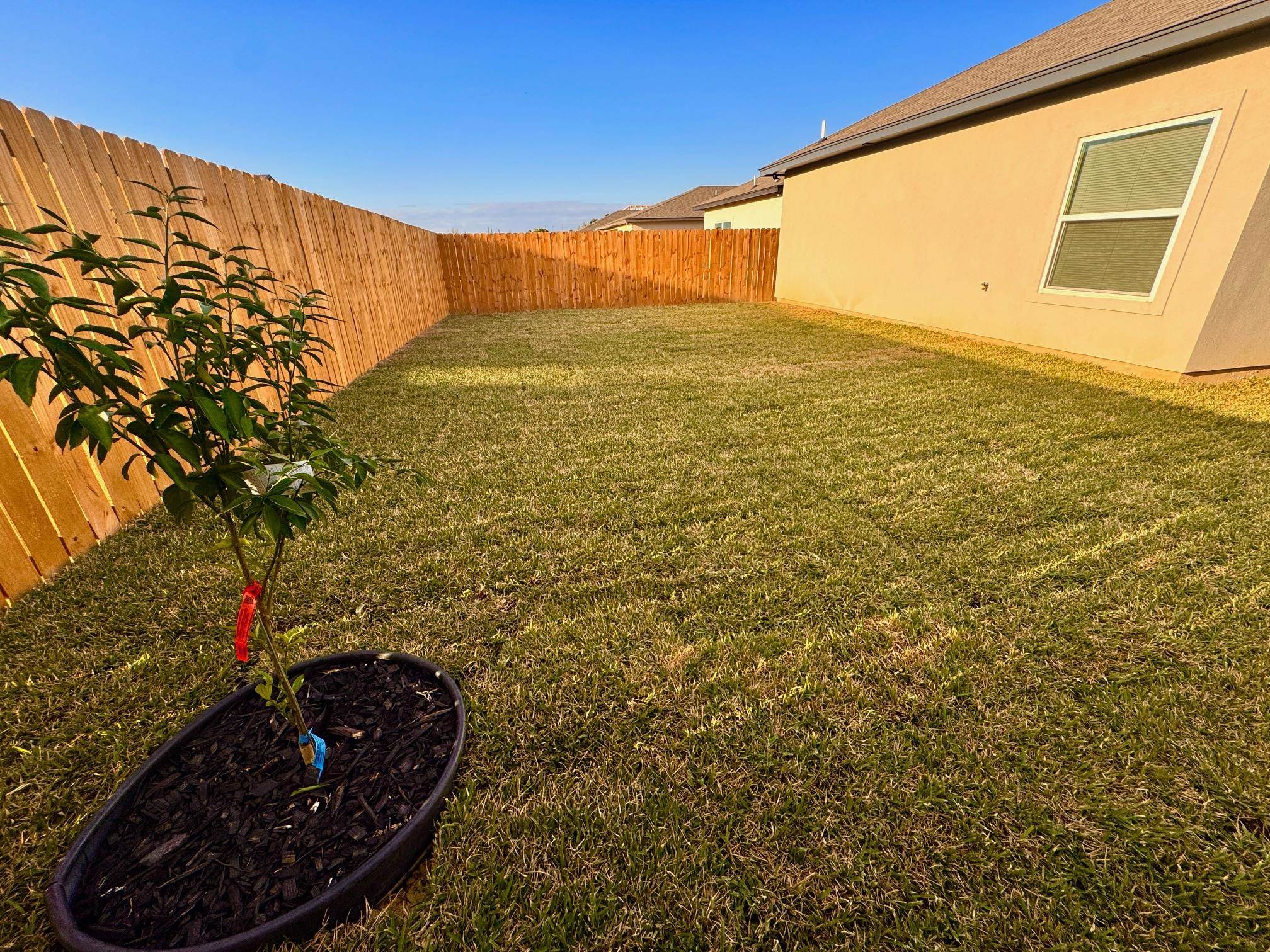 1010 Amezquita Dr. Property Photo 28