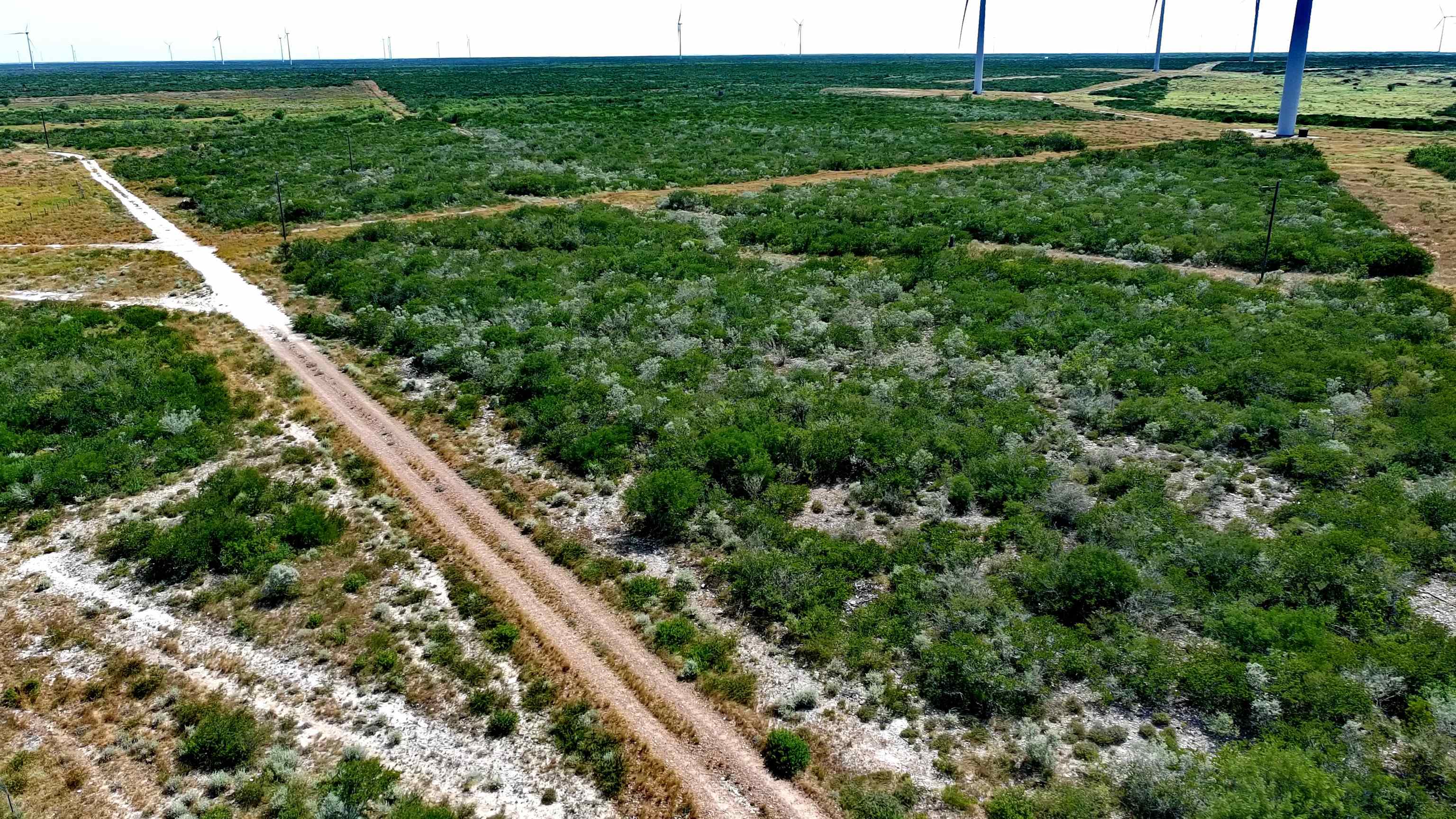 Tract5 (47.9ac) San Pablo Ave Property Photo 2