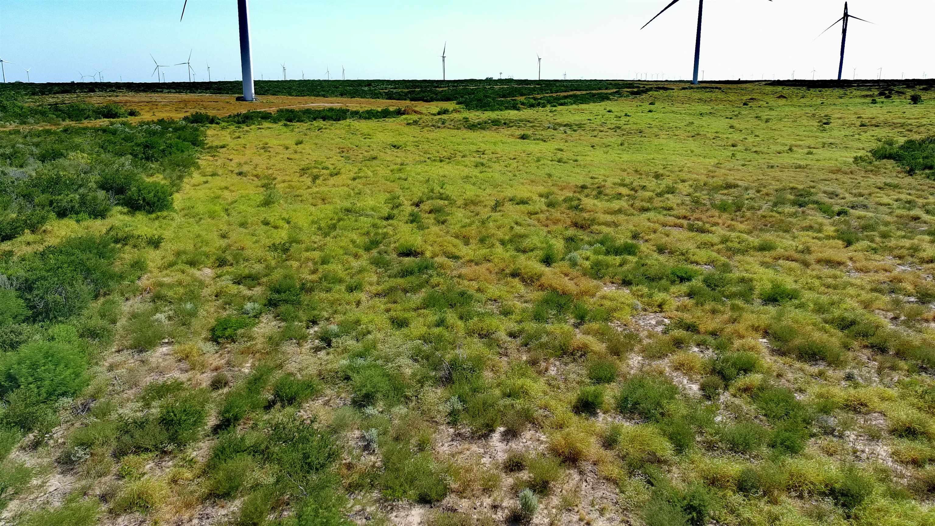 Tract 6 (80ac) San Pablo Ave Property Photo 1