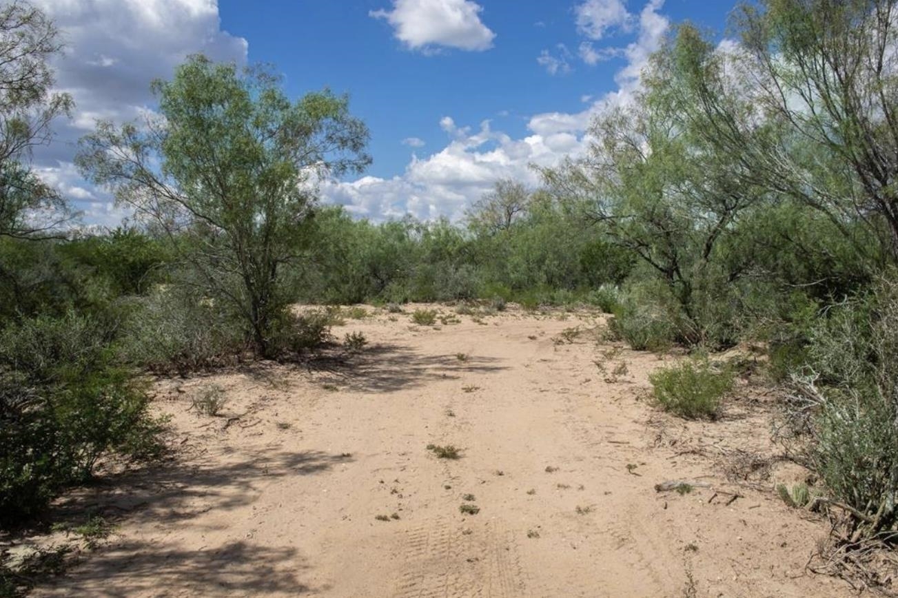 395 Ranch Road 6210f Property Photo 4