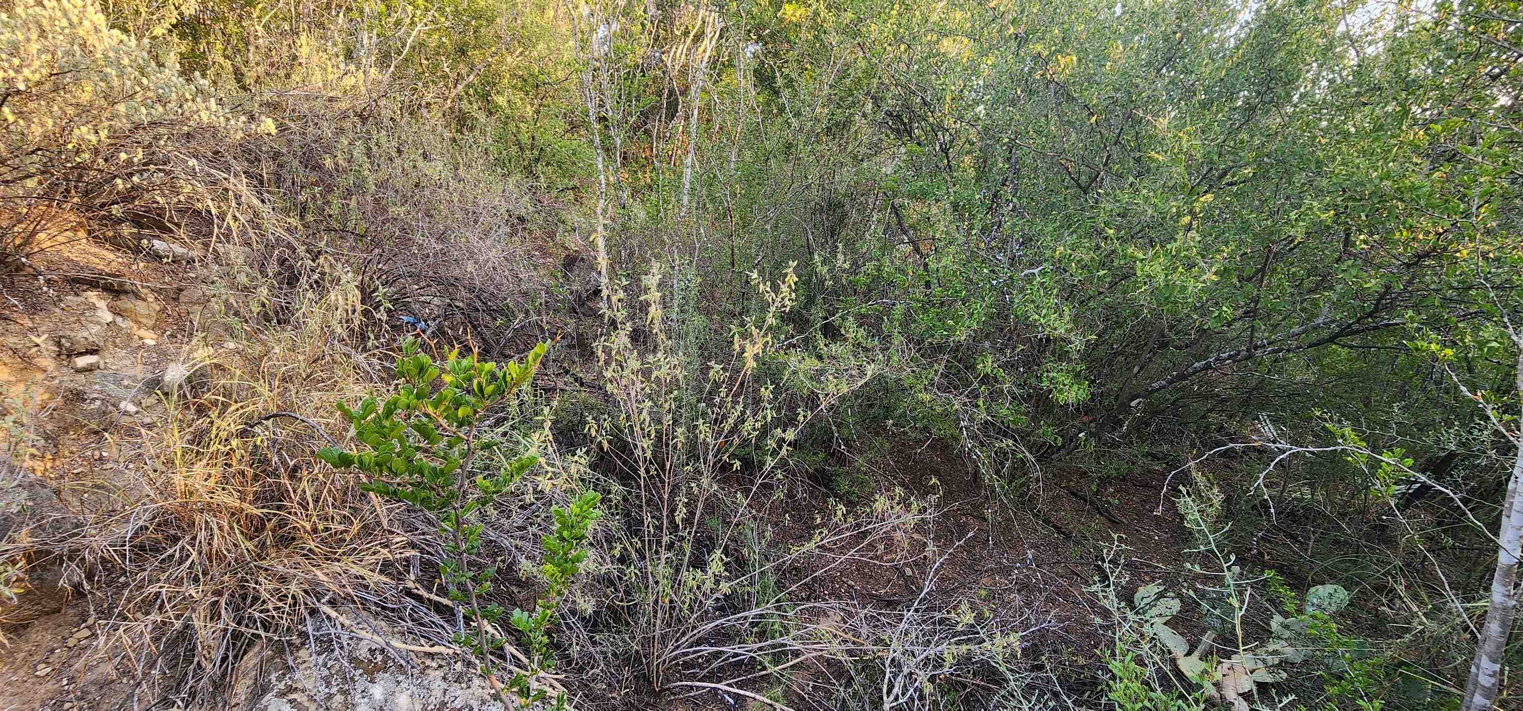 5303 Juan Lane Property Photo 4