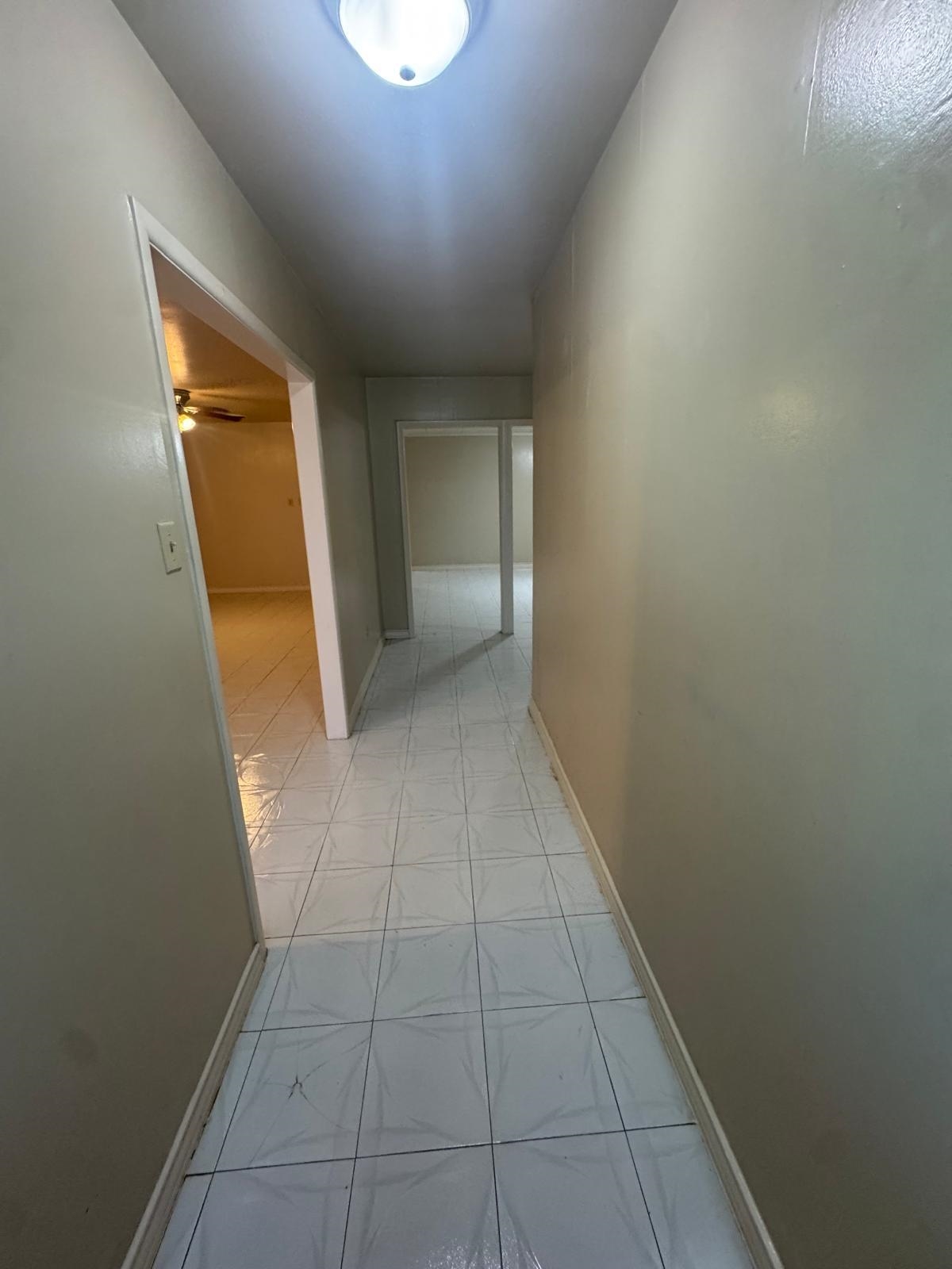 302 Huisache Dr Property Photo 4
