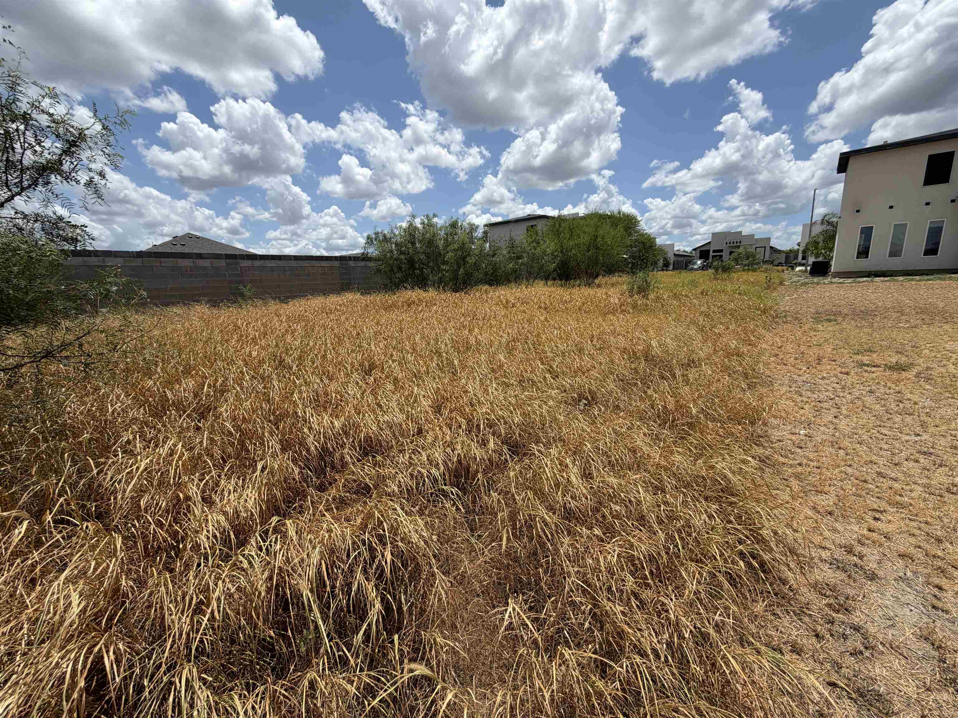 6920 Molinos Dr Property Photo 3
