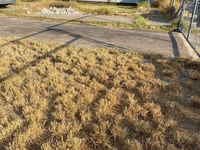 503 Lobo Lp Property Photo 10