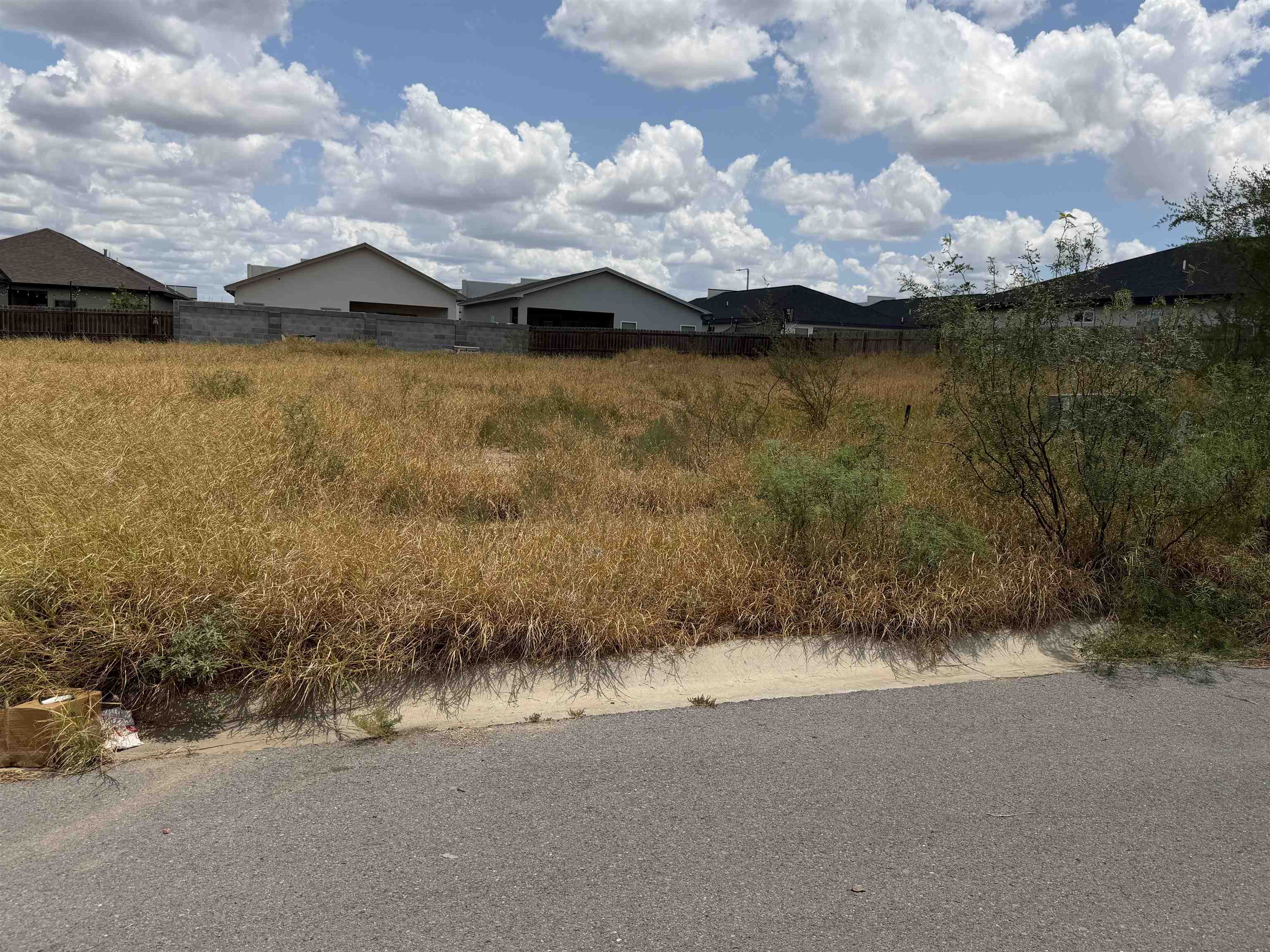 1423 El Zarape Ln. Property Photo 3