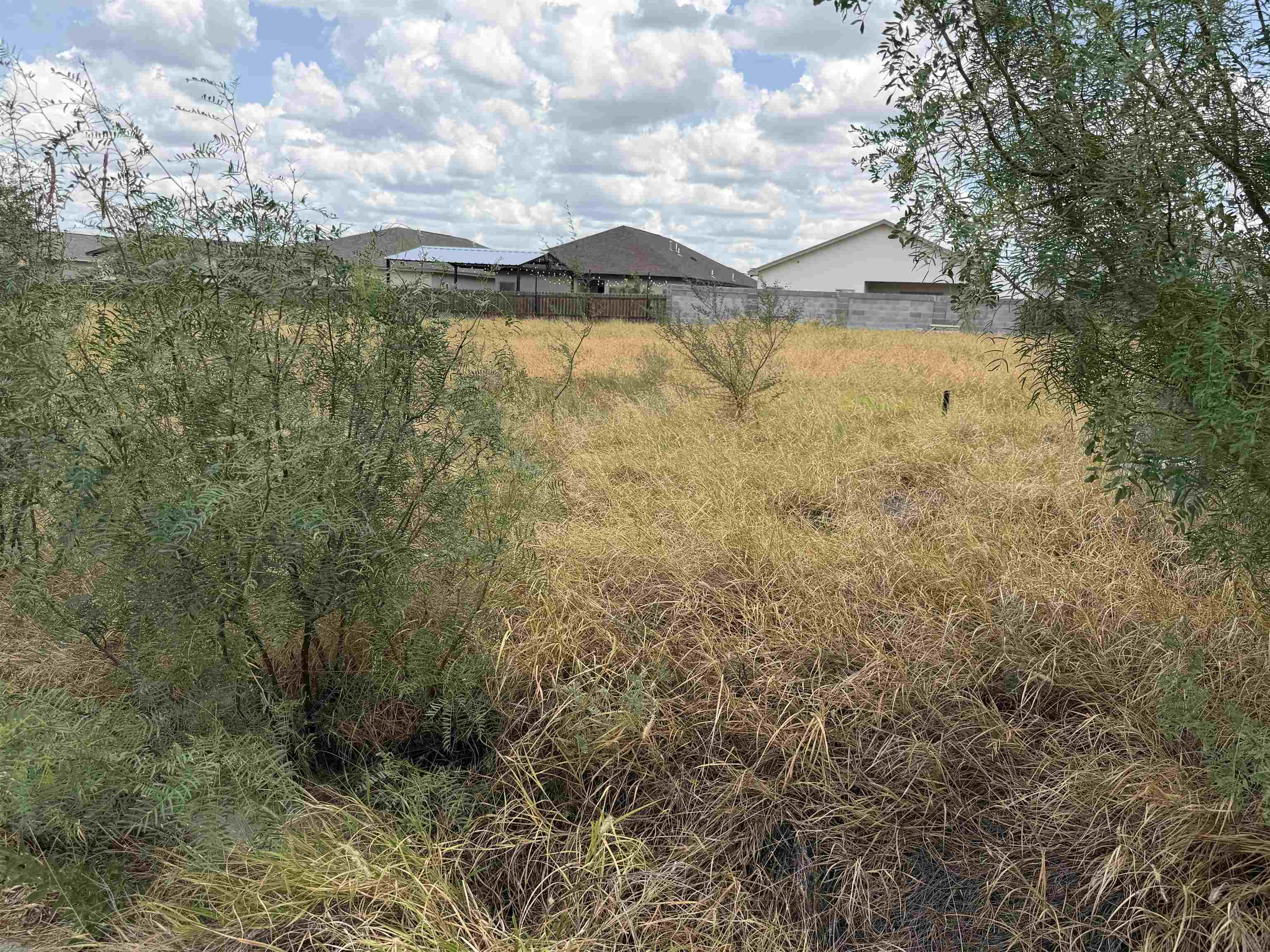 1423 El Zarape Ln. Property Photo 4