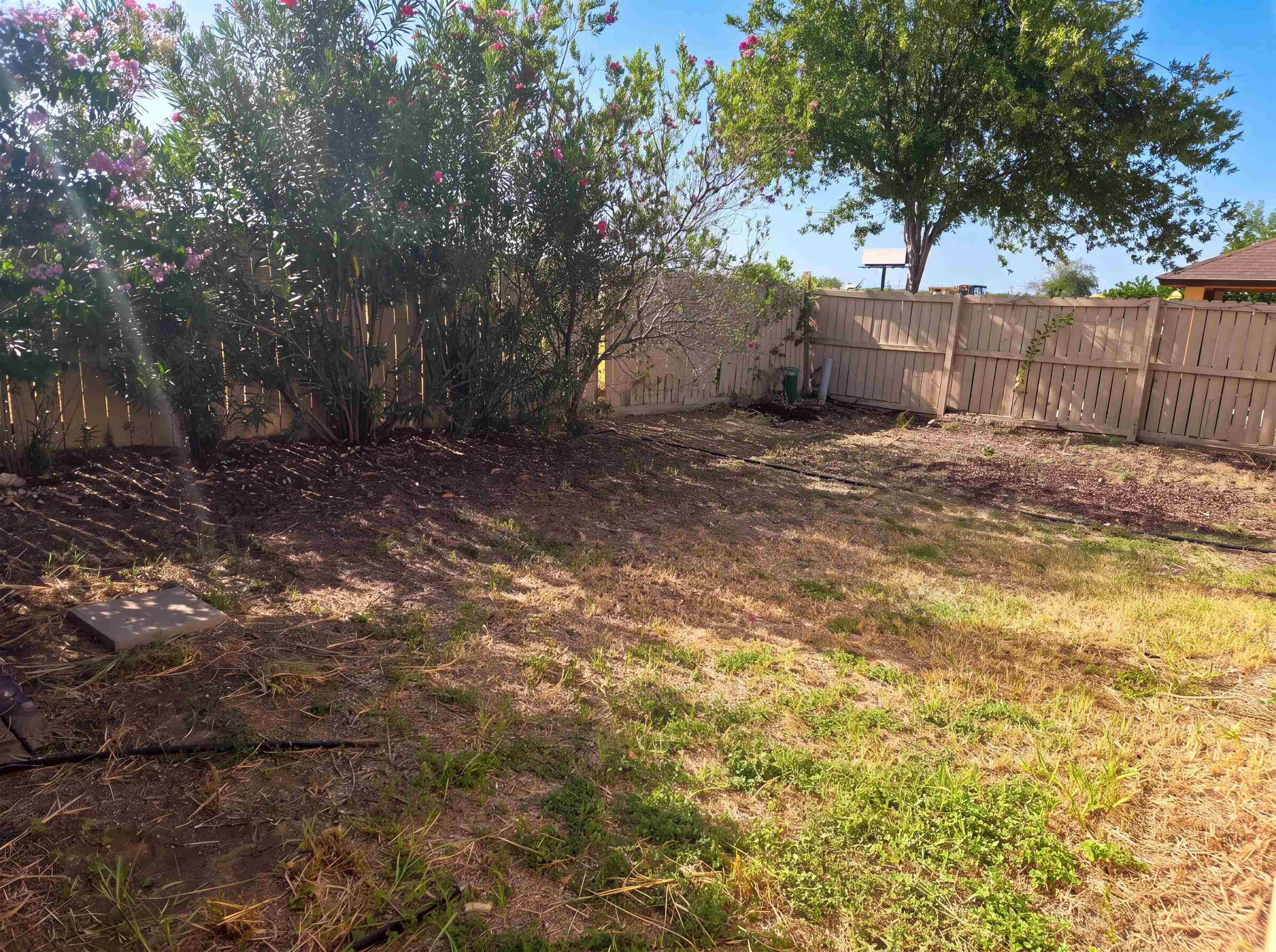 4517 Vanessita Crt Property Photo 17