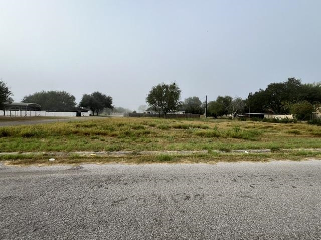 1101 W Viggo St Property Photo 2