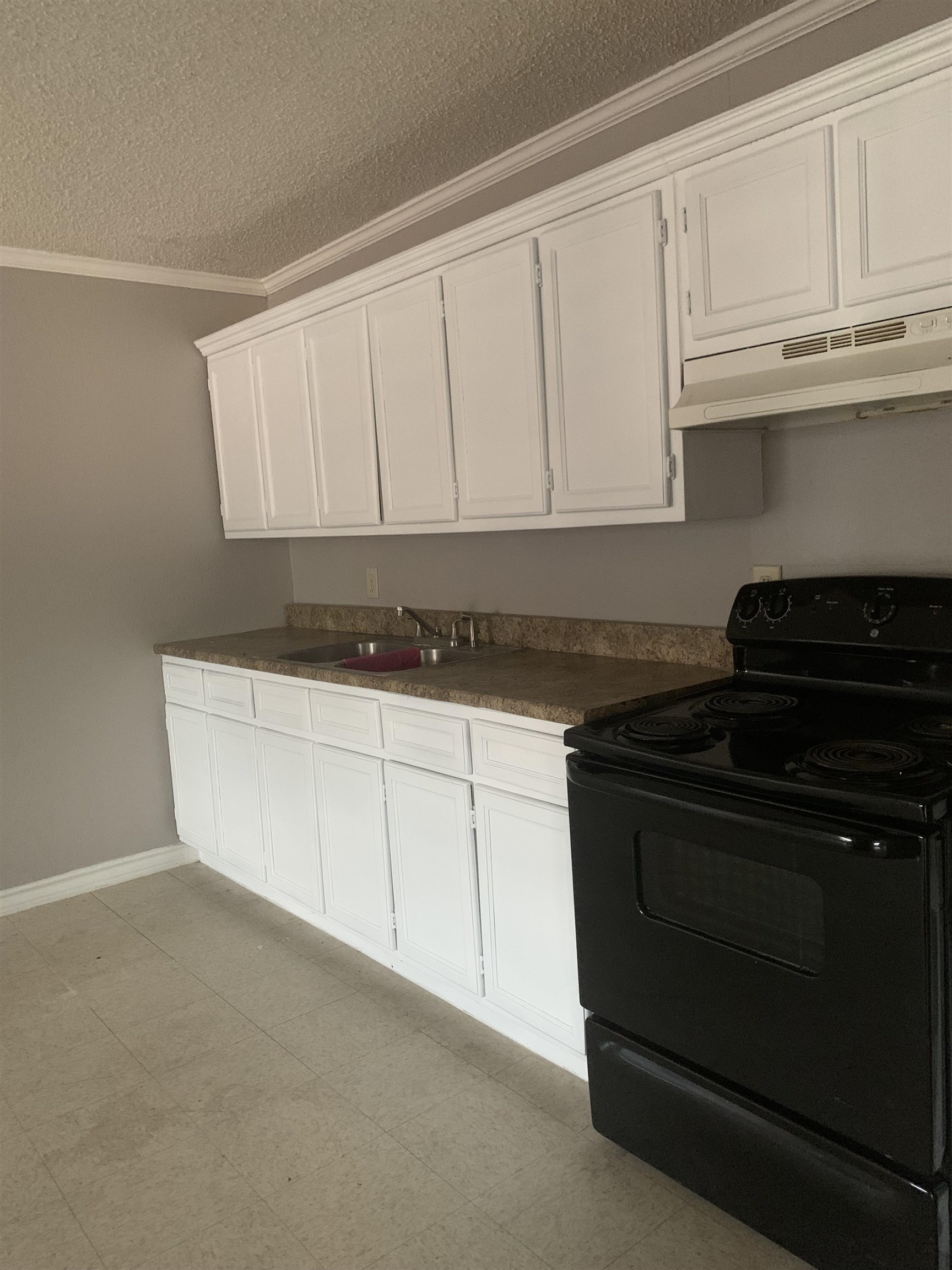 3413 Pine St Property Photo 5