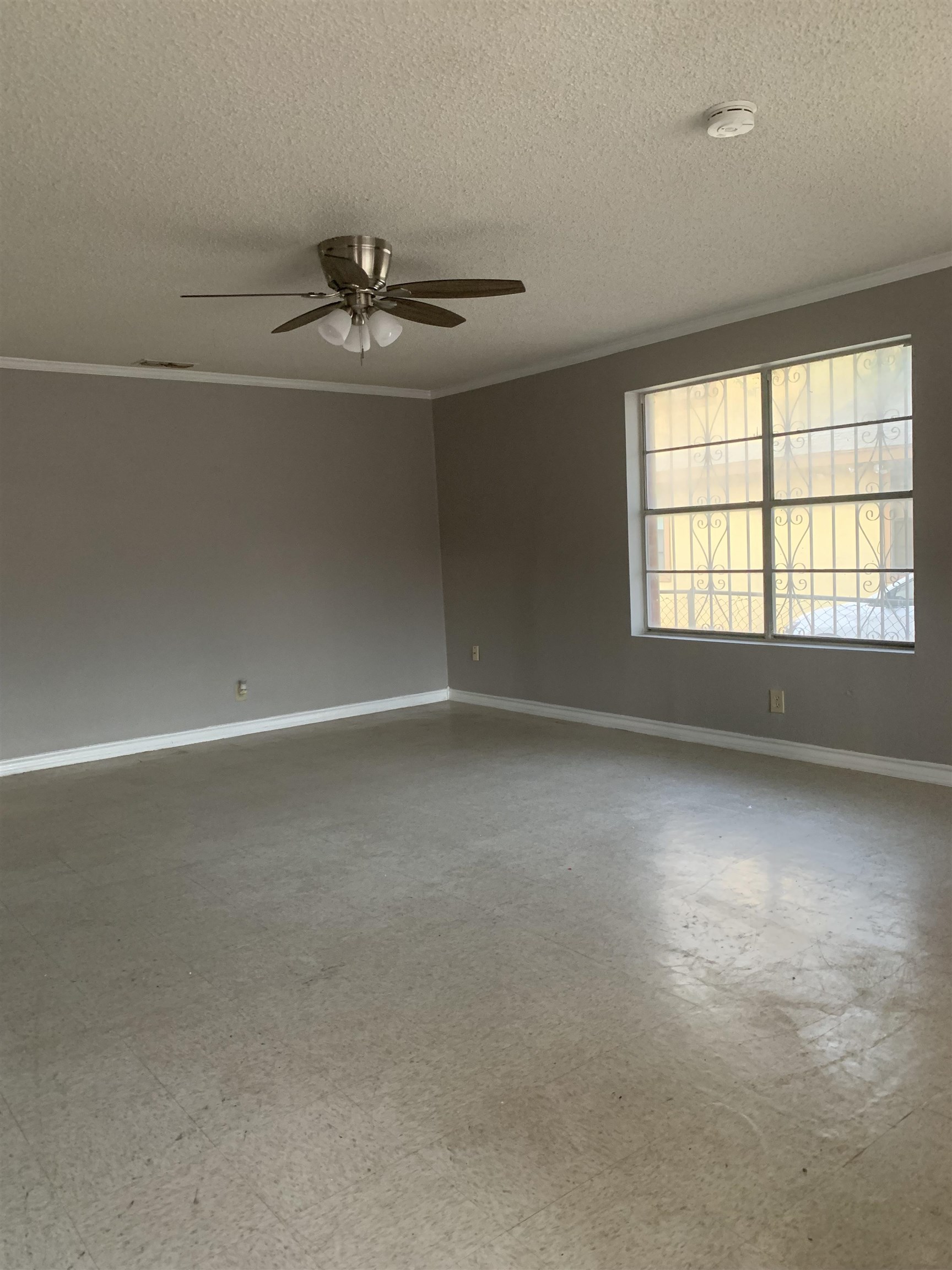 3413 Pine St Property Photo 8
