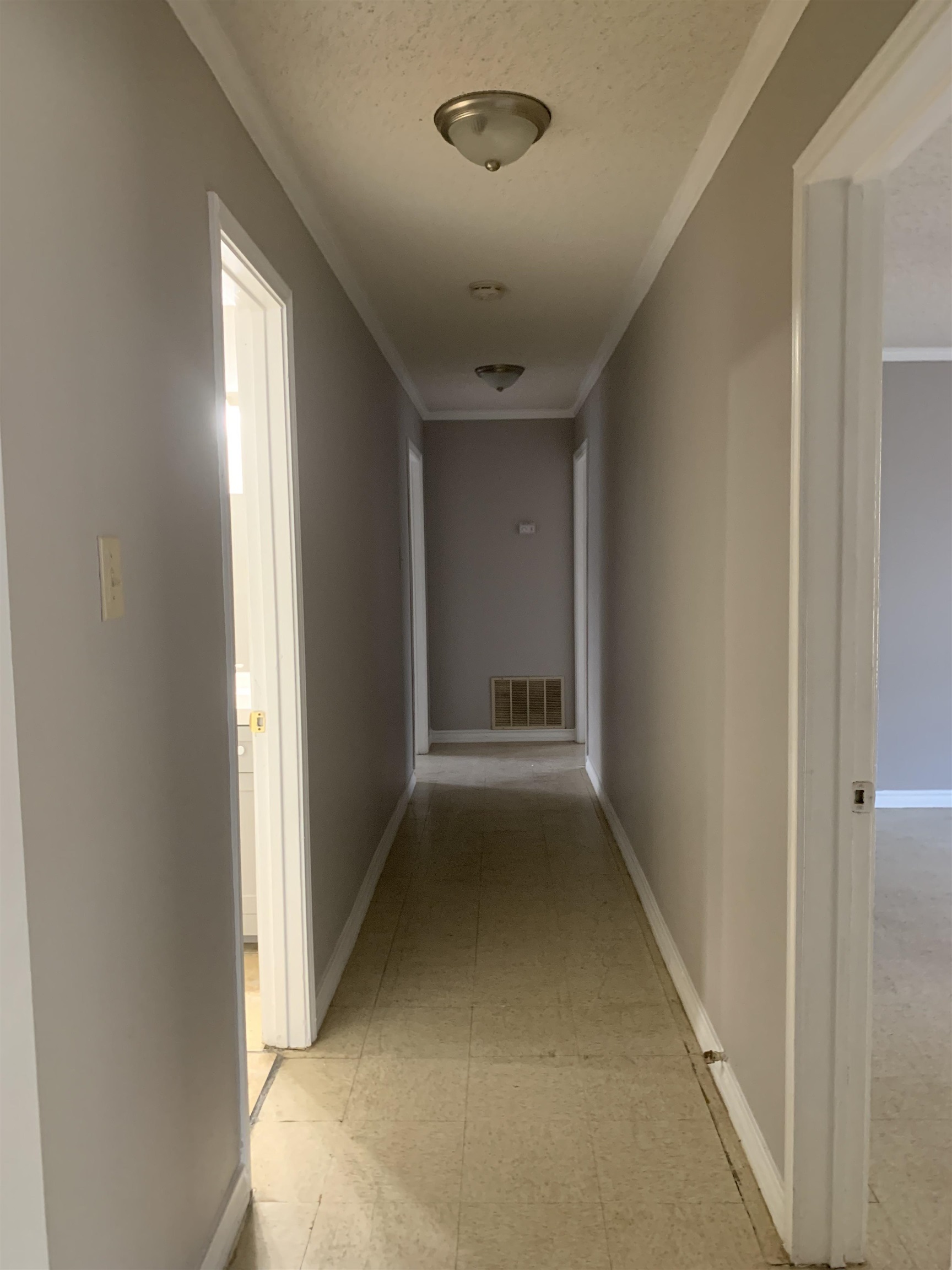 3413 Pine St Property Photo 9