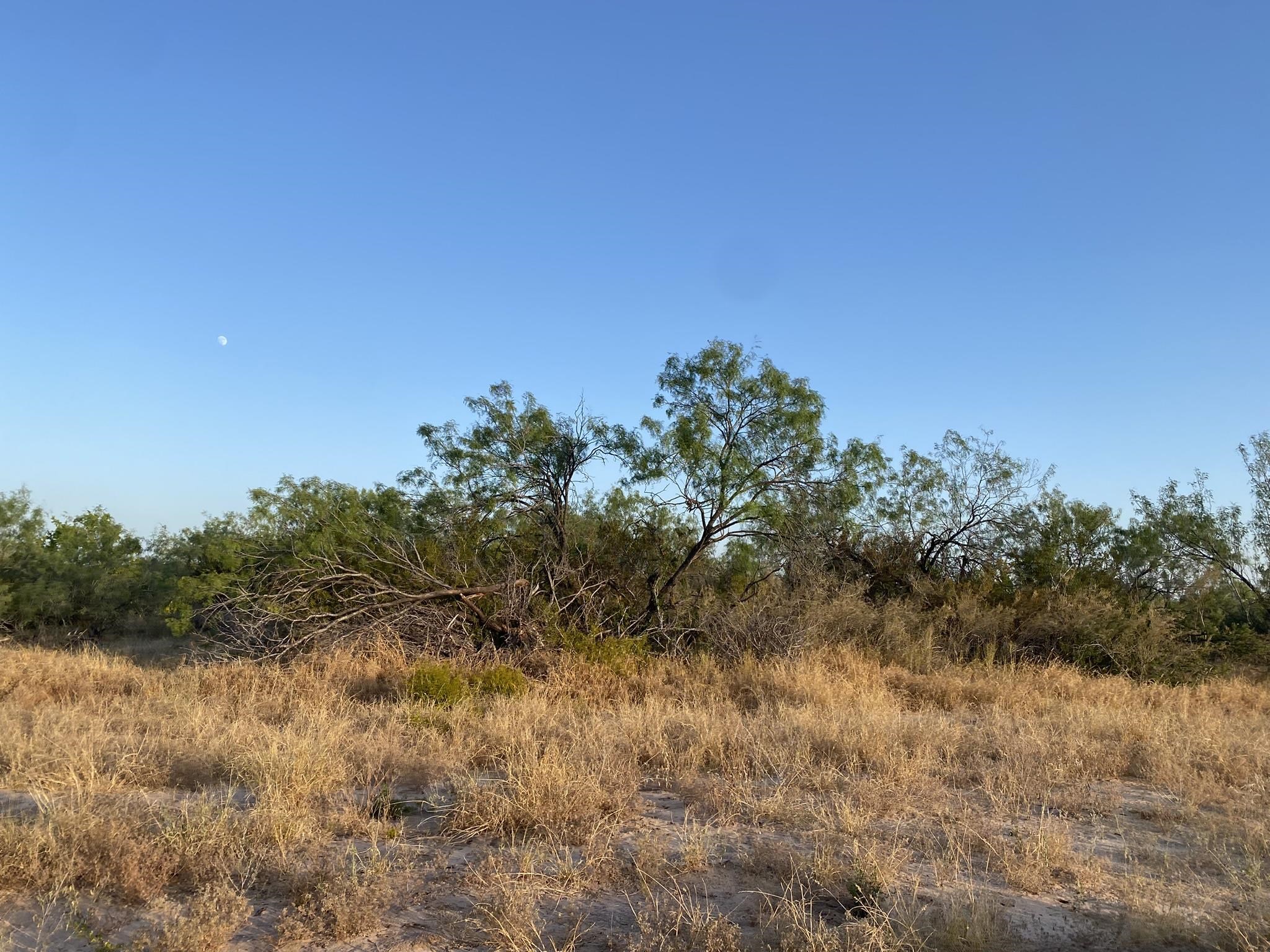 2817 Ranch Rd Property Photo 6