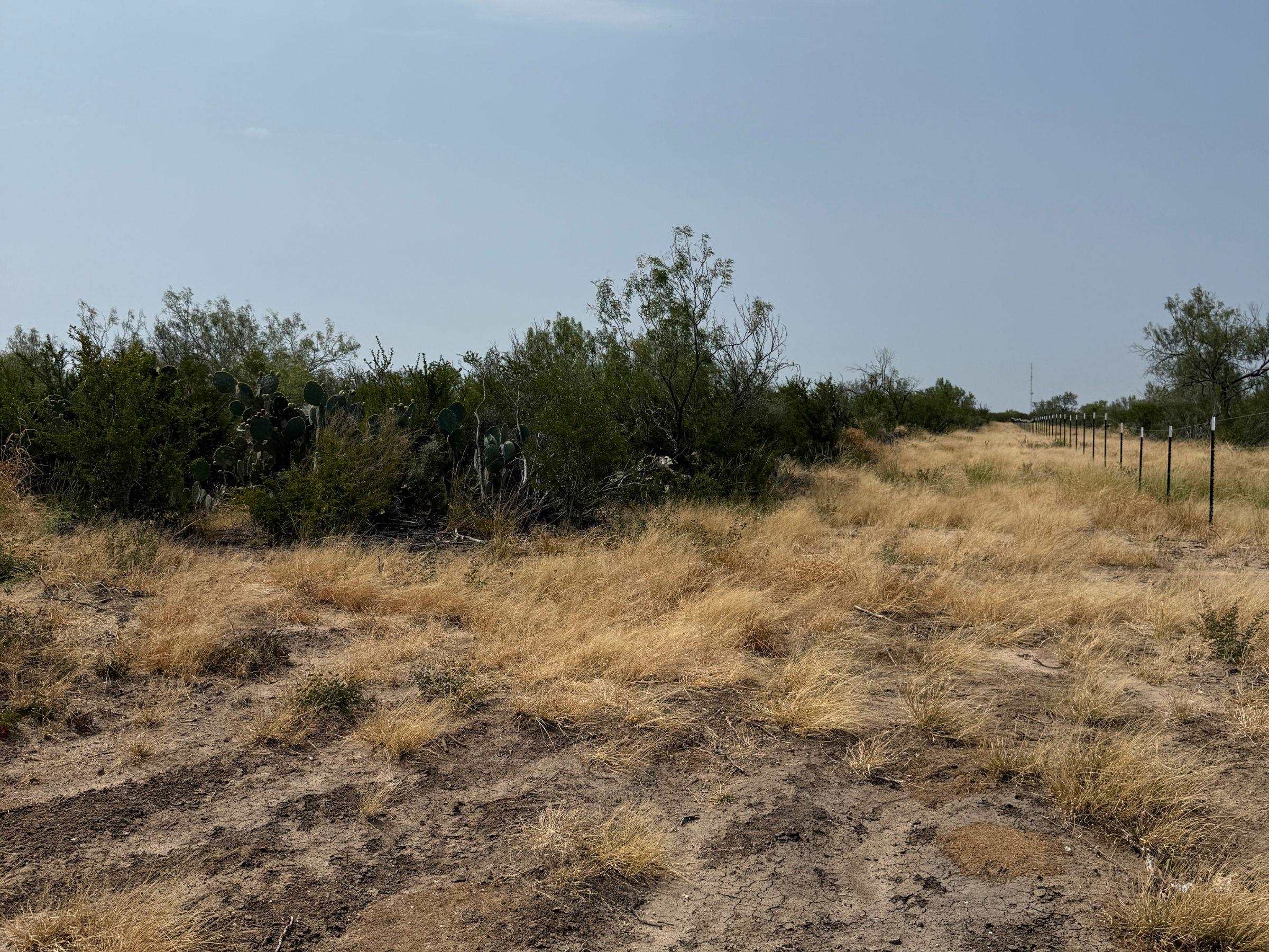 Ab 126 Beaty, Seale & Forwood Property Photo 6