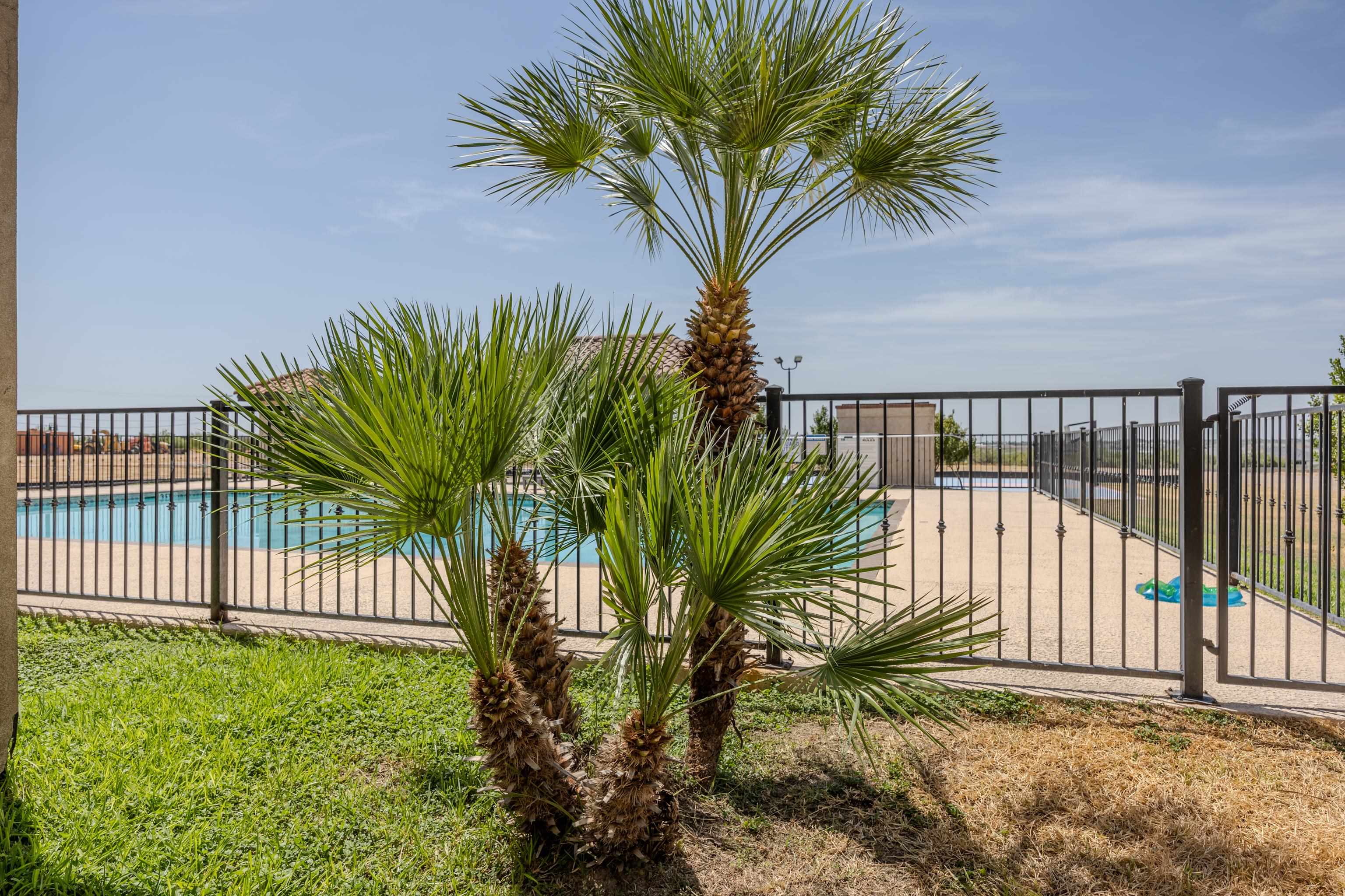 8216 Casa Verde Rd A104 Property Photo 22