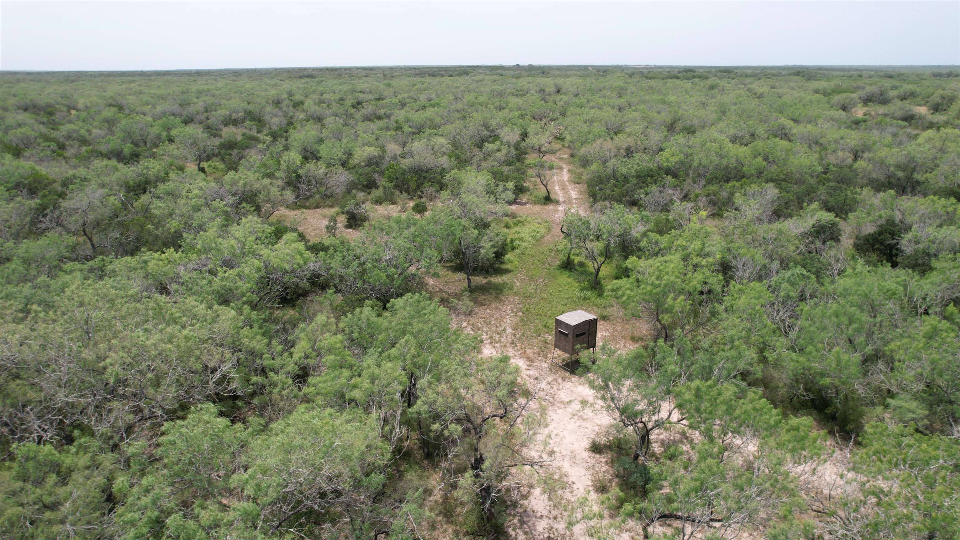 0 U.s. Hwy 359 Property Photo 3