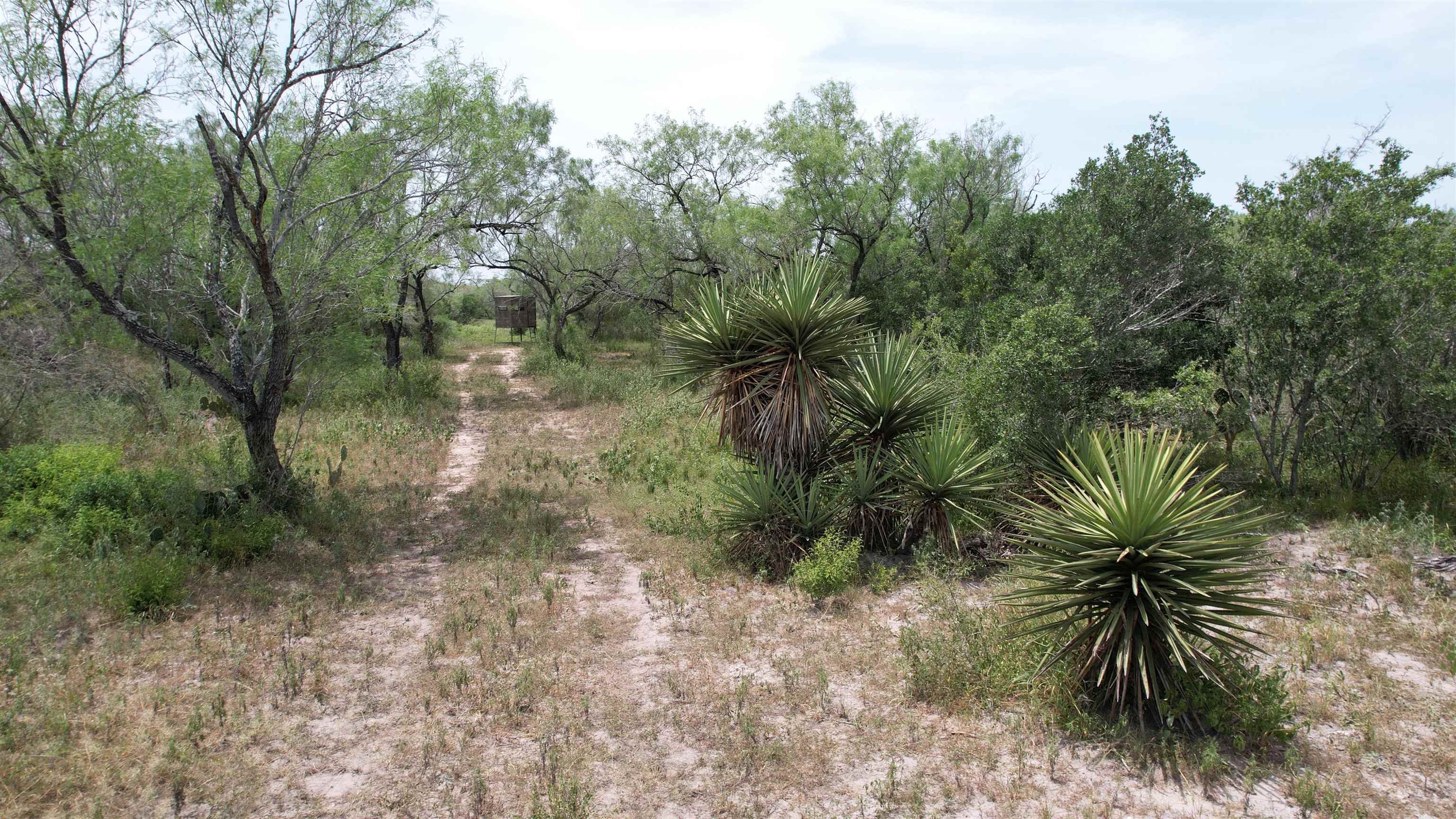 0 U.s. Hwy 359 Property Photo 5