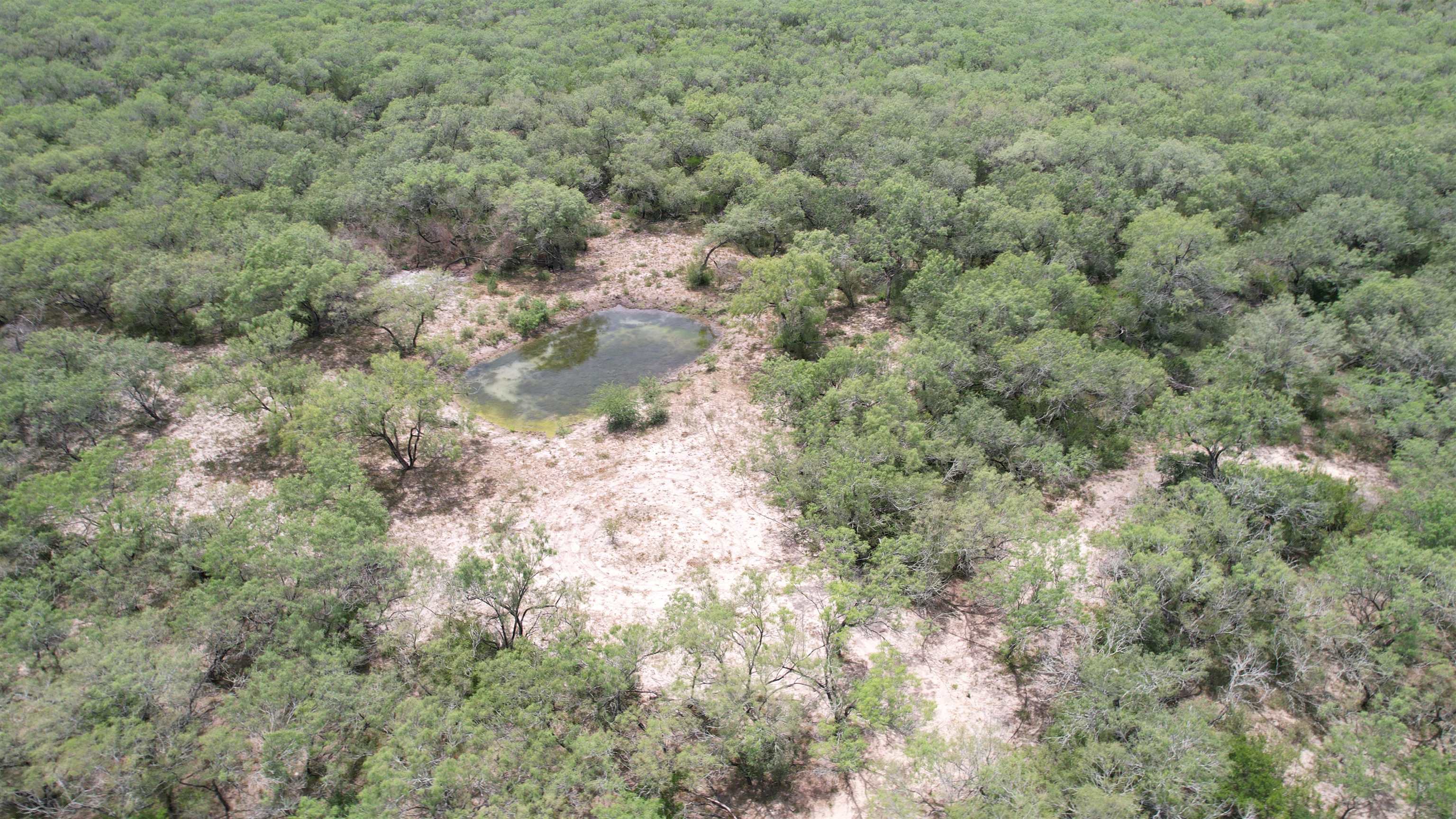 0 U.s. Hwy 359 Property Photo 6