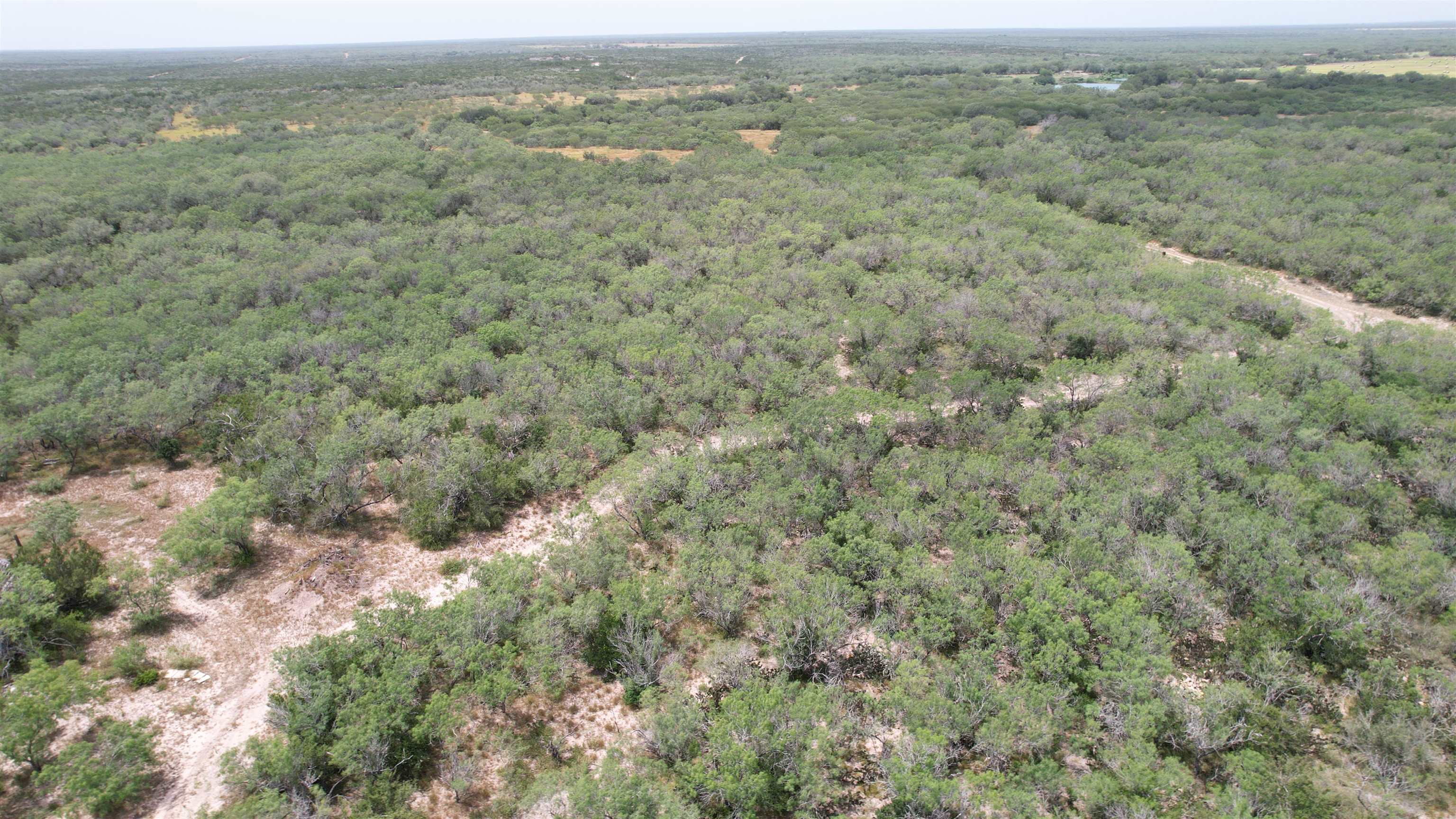 0 U.s. Hwy 359 Property Photo 10