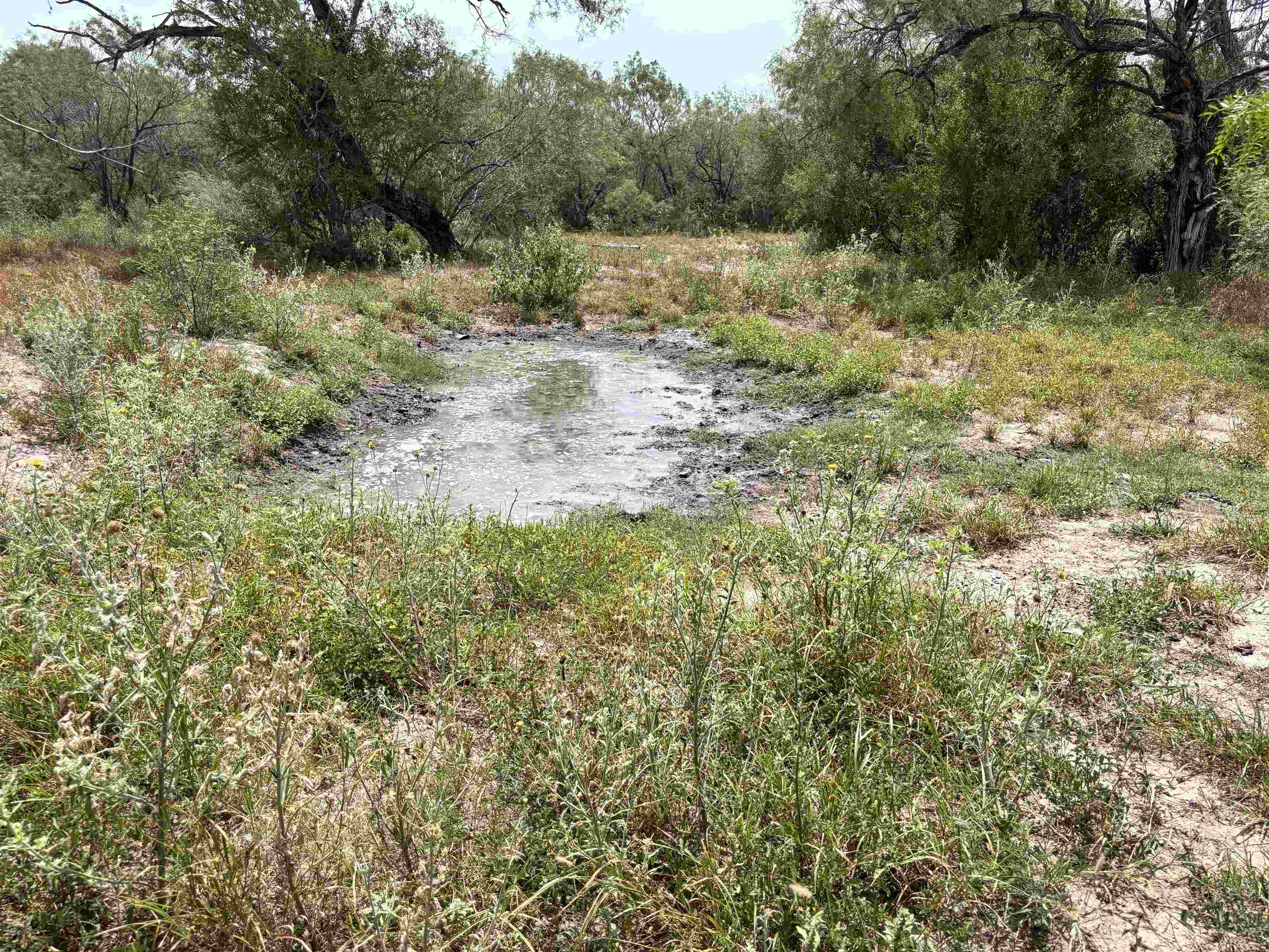 0 U.s. Hwy 359 Property Photo 14