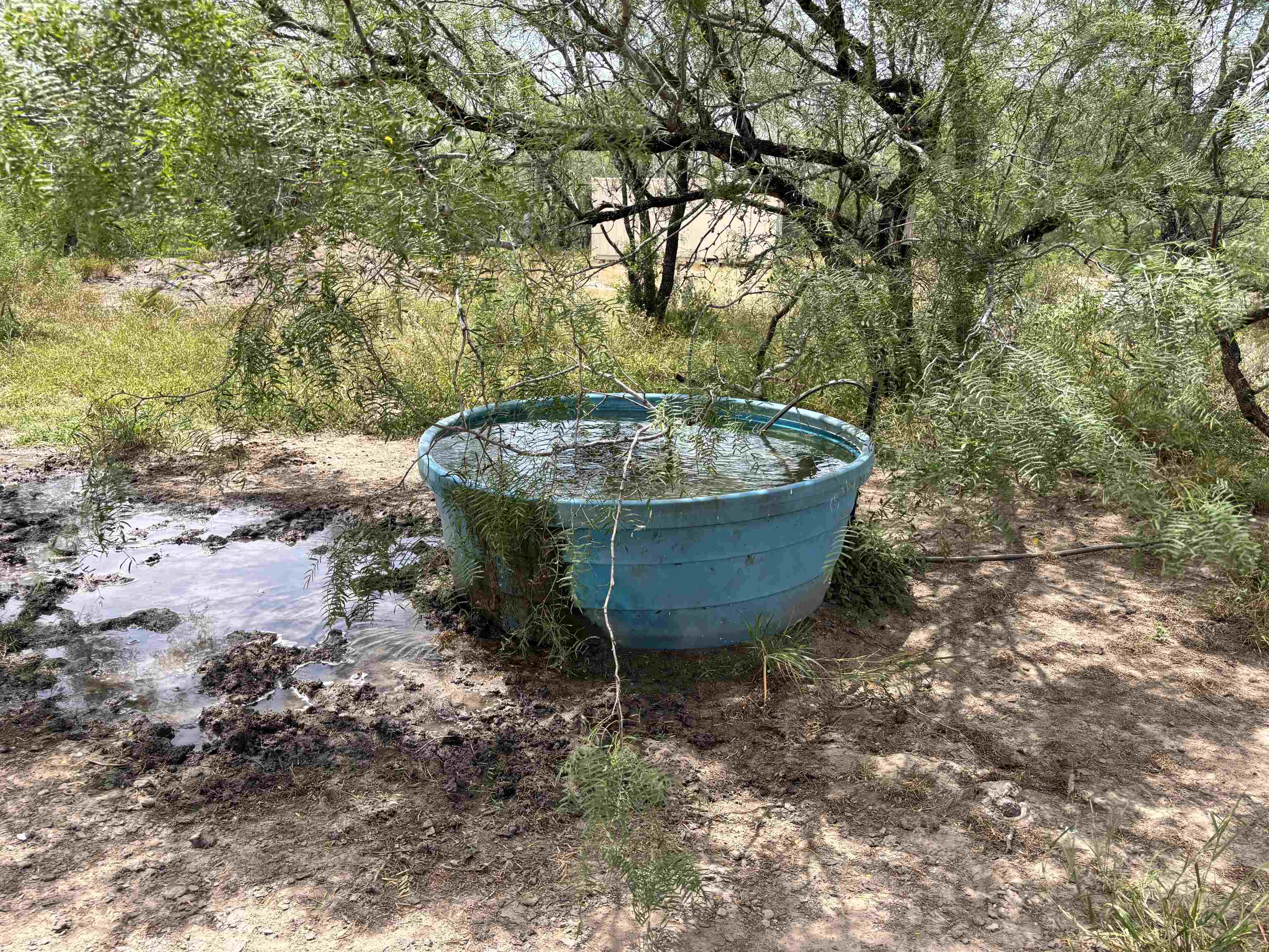 0 U.s. Hwy 359 Property Photo 15