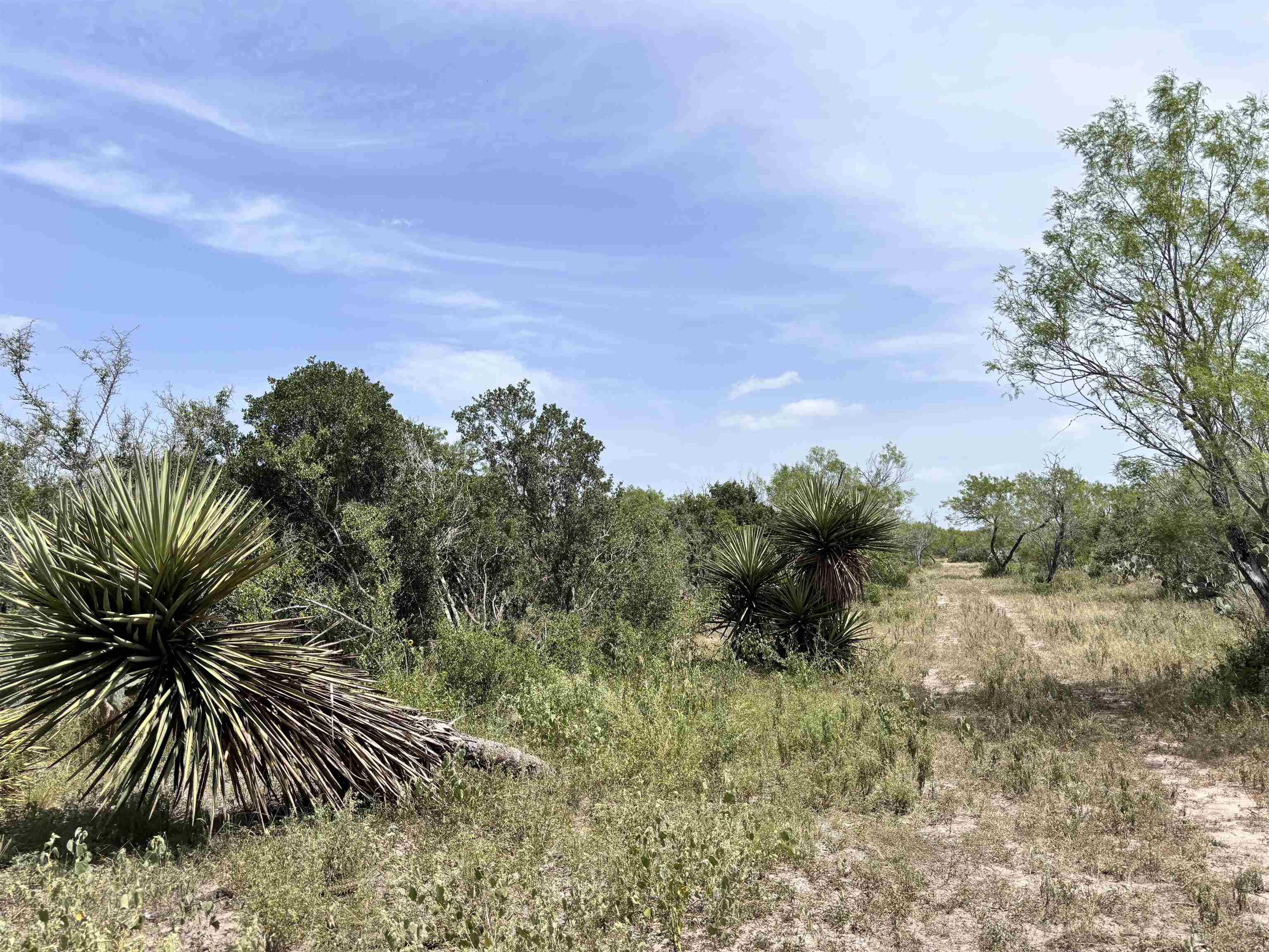 0 U.s. Hwy 359 Property Photo 16