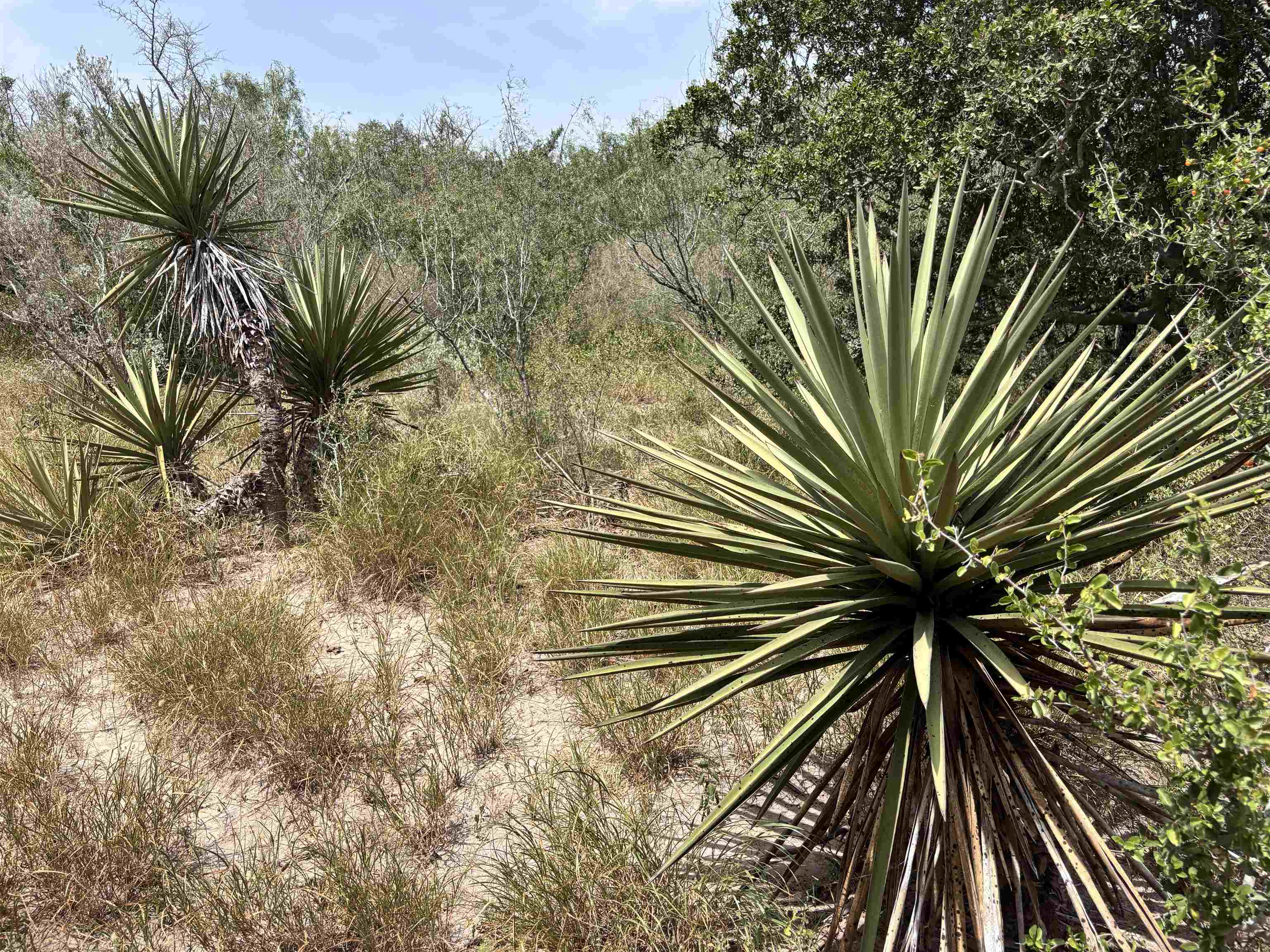 0 U.s. Hwy 359 Property Photo 19