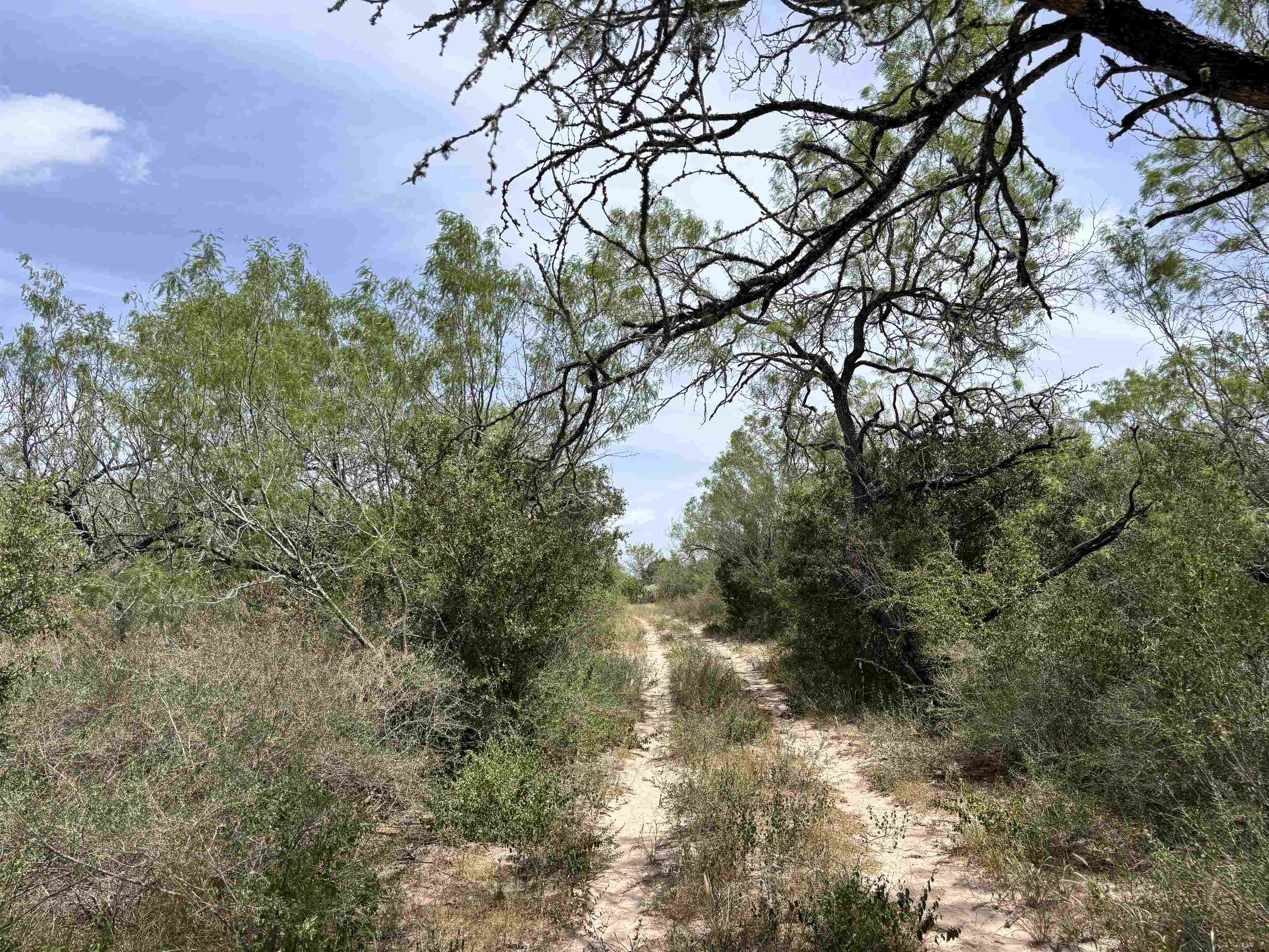 0 U.s. Hwy 359 Property Photo 20