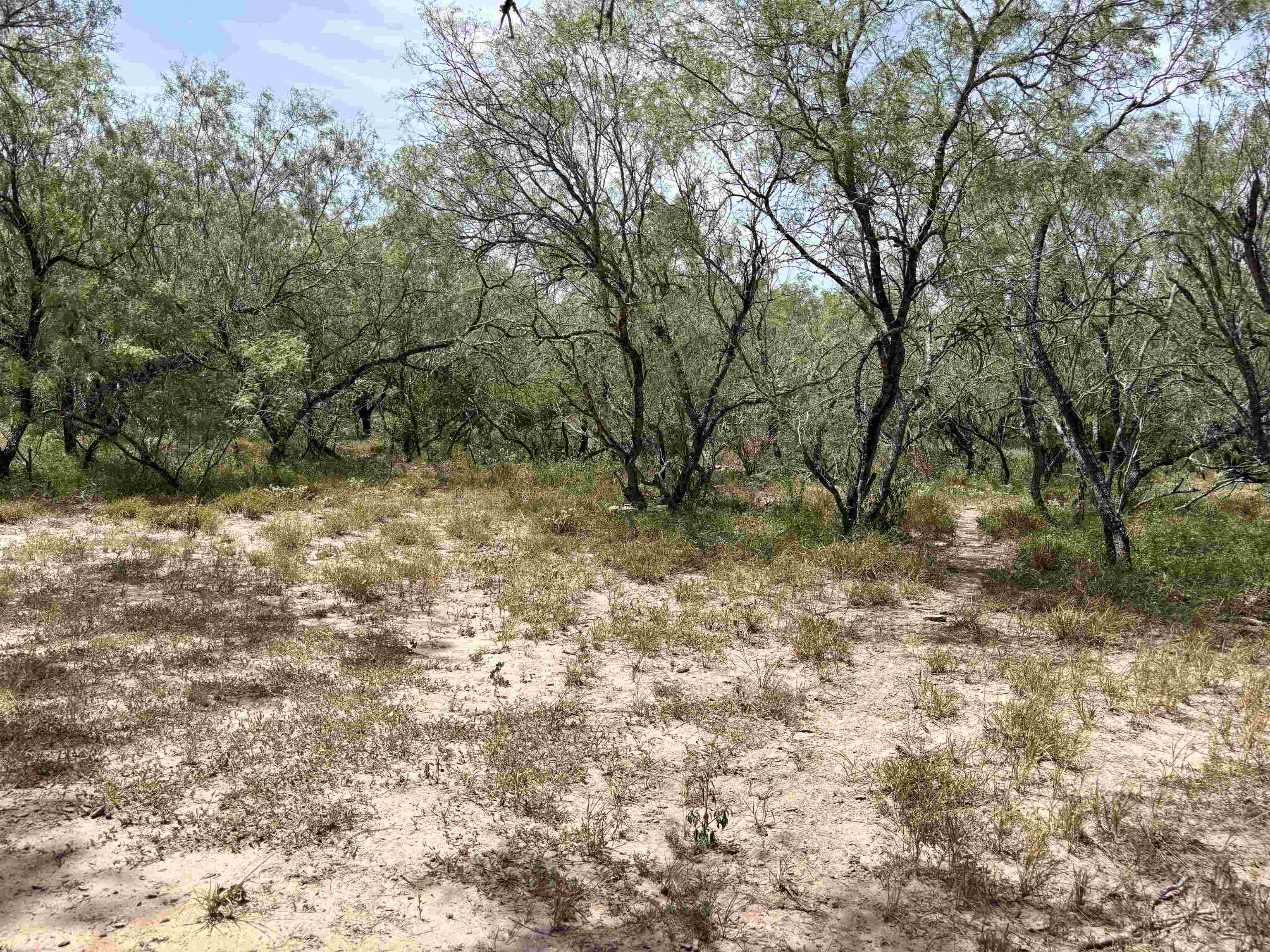 0 U.s. Hwy 359 Property Photo 21