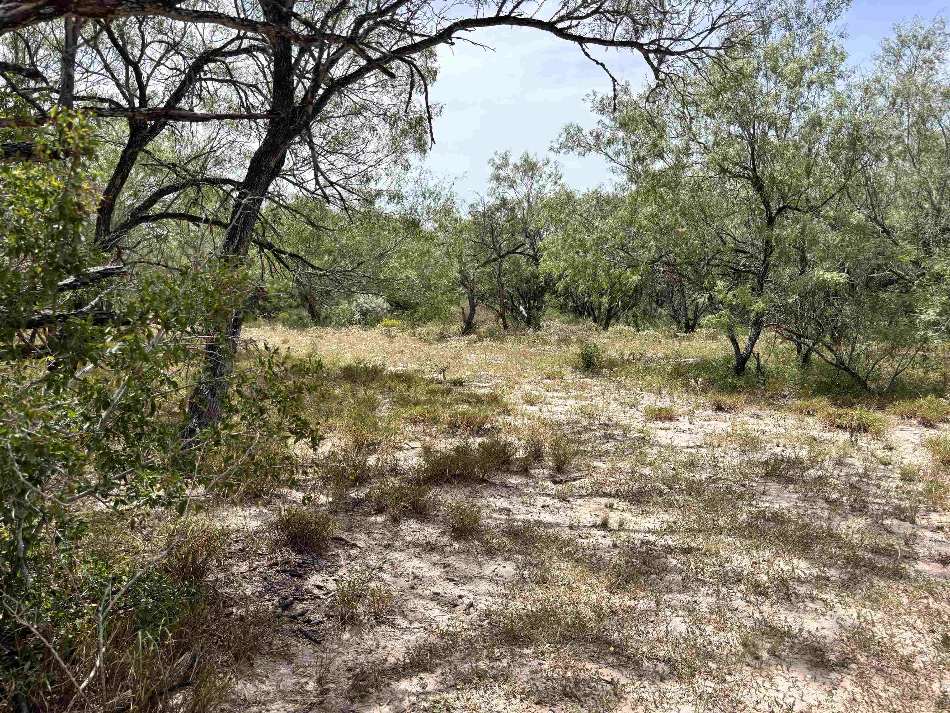 0 U.s. Hwy 359 Property Photo 23