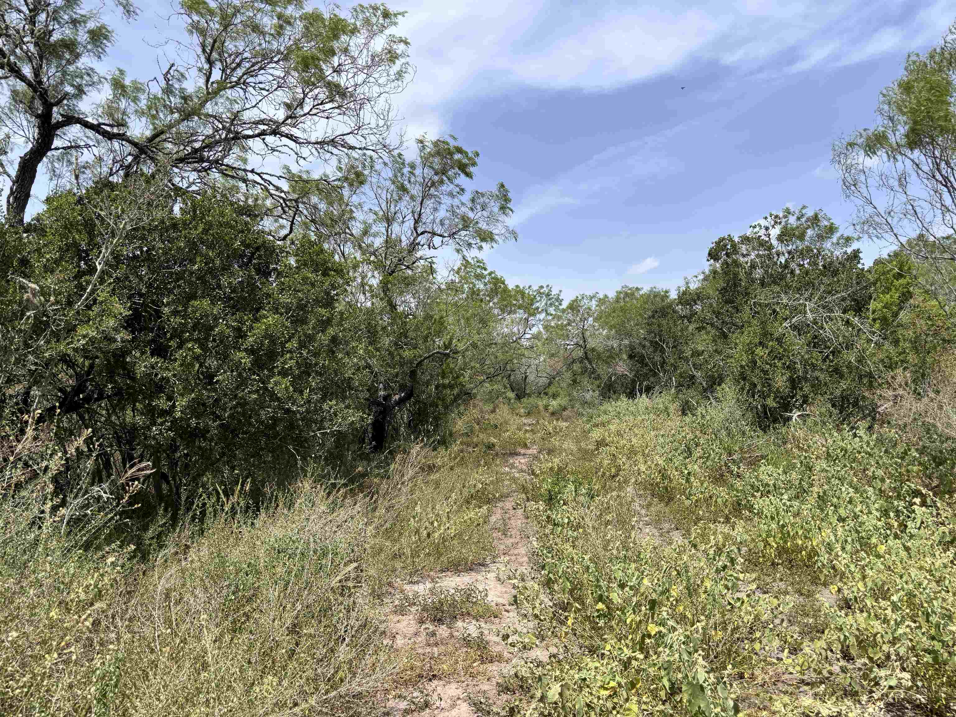 0 U.s. Hwy 359 Property Photo 24