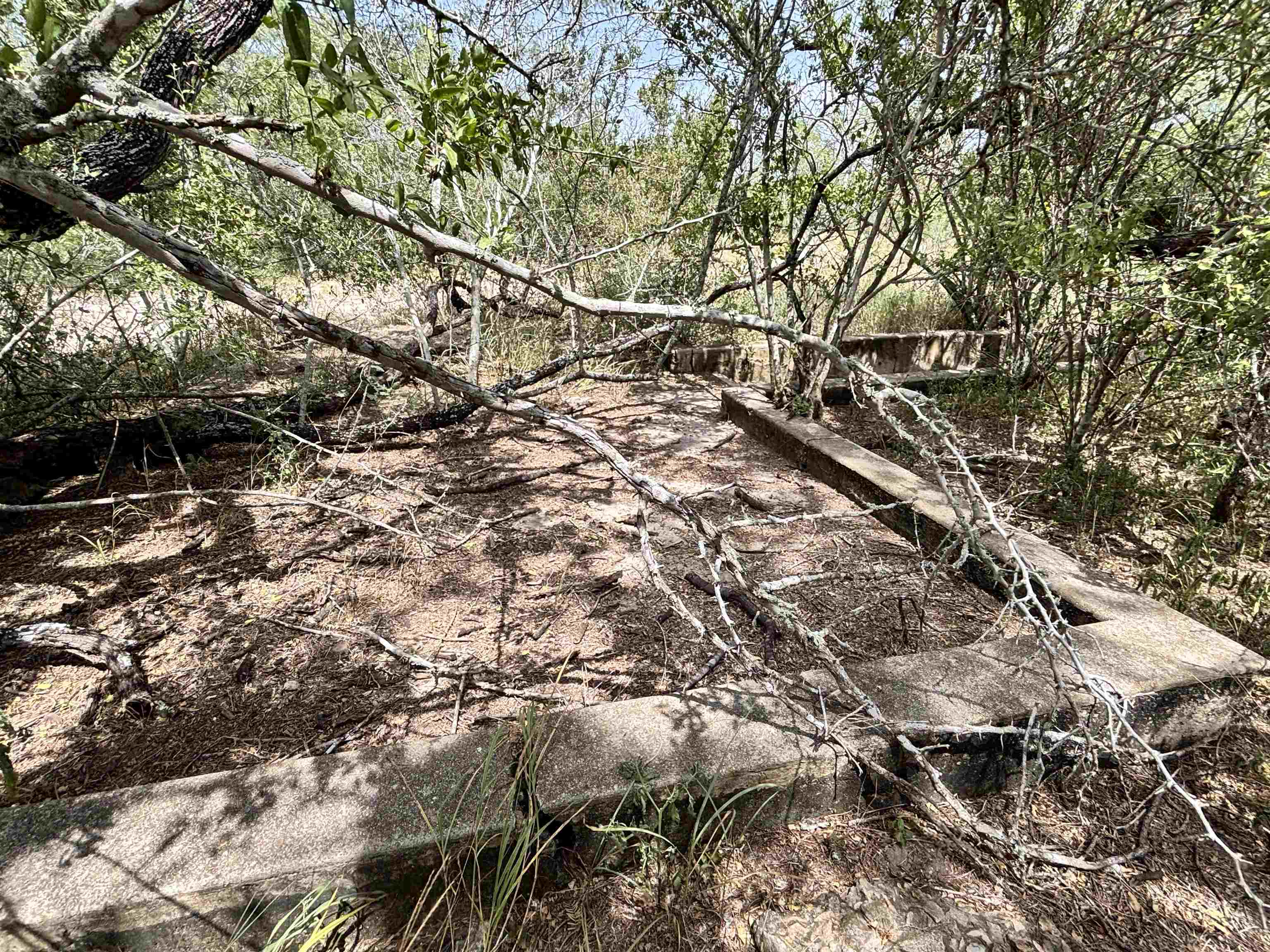 0 U.s. Hwy 359 Property Photo 26