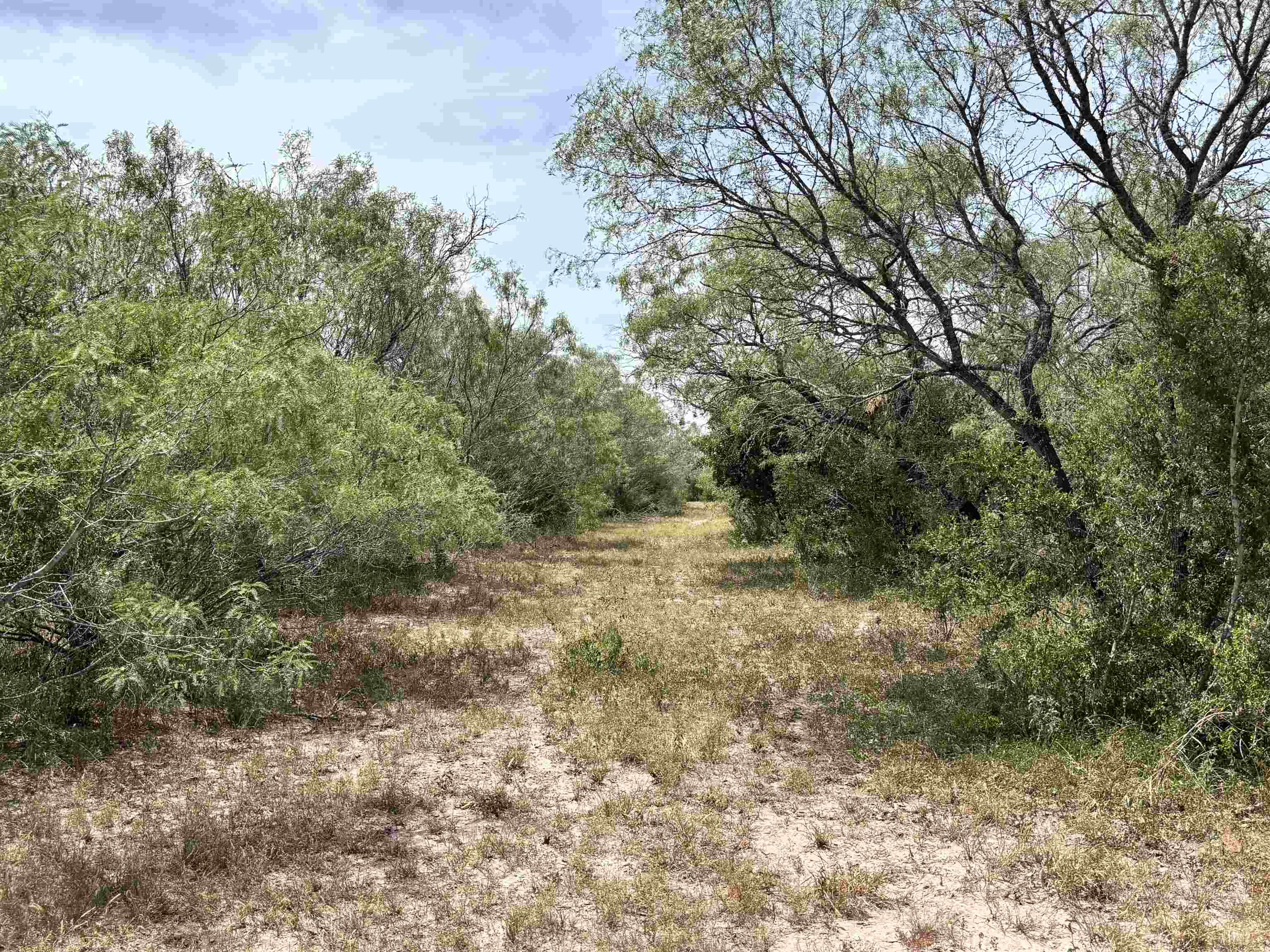 0 U.s. Hwy 359 Property Photo 28