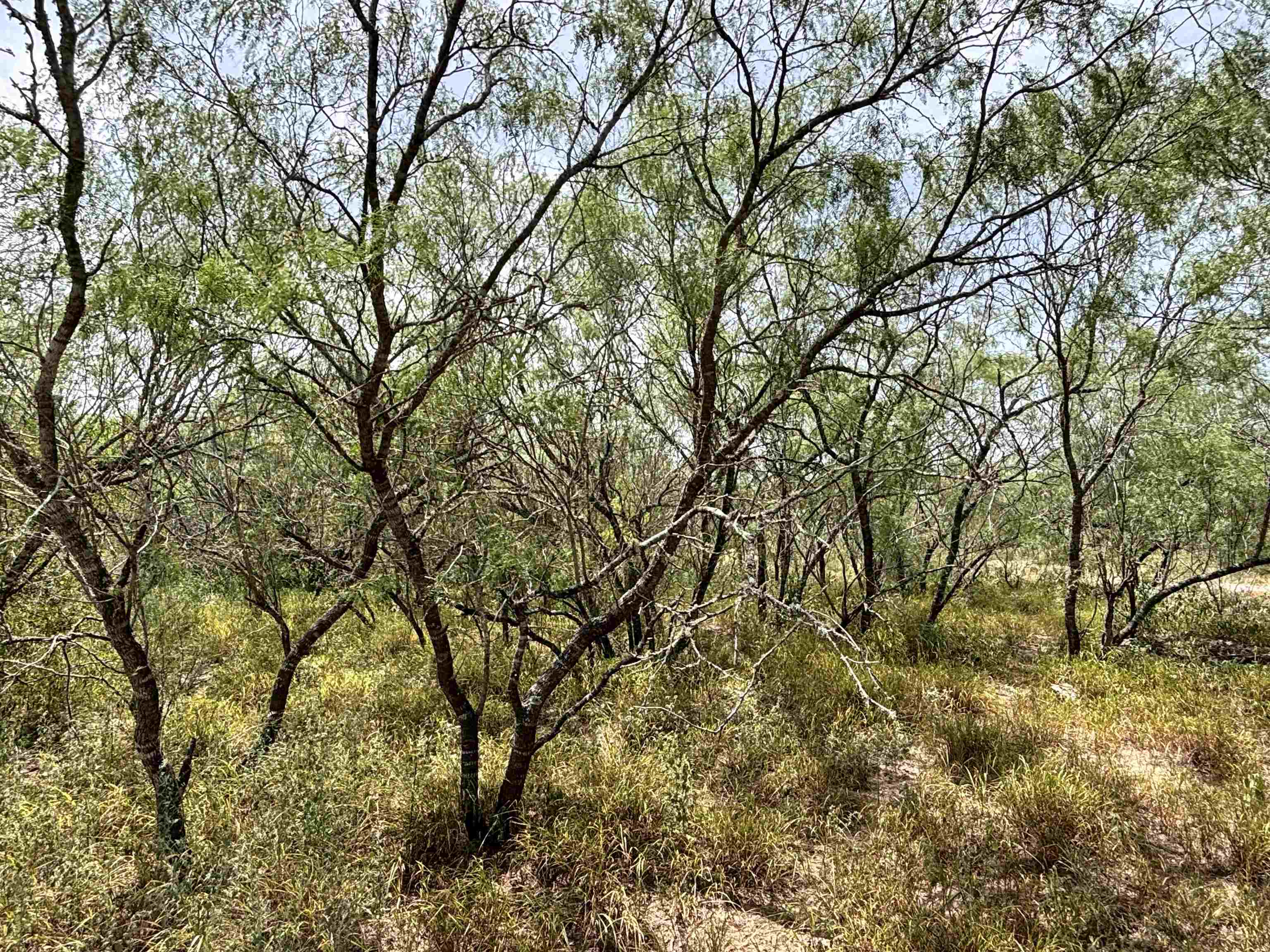 0 U.s. Hwy 359 Property Photo 30