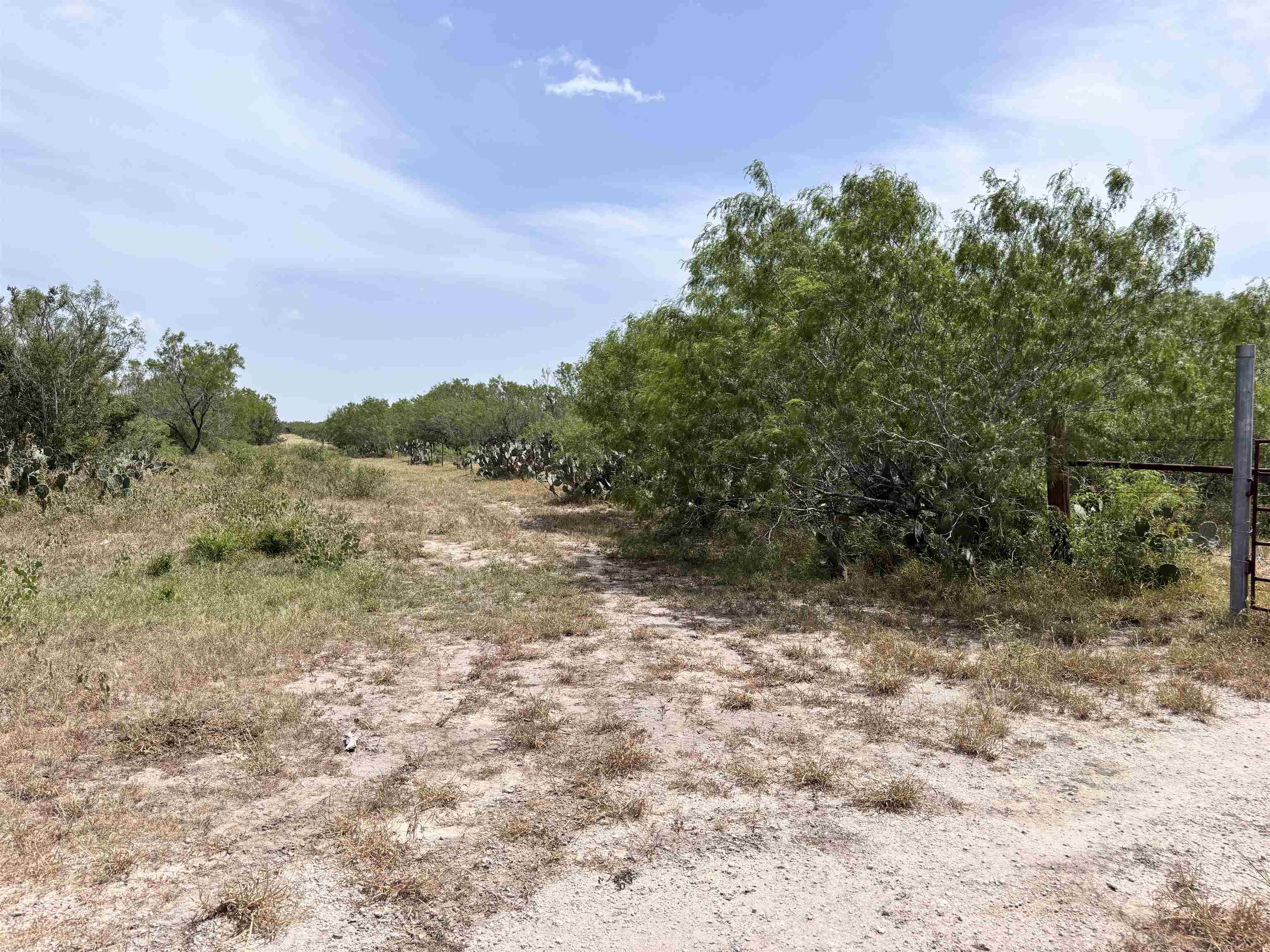 0 U.s. Hwy 359 Property Photo 32