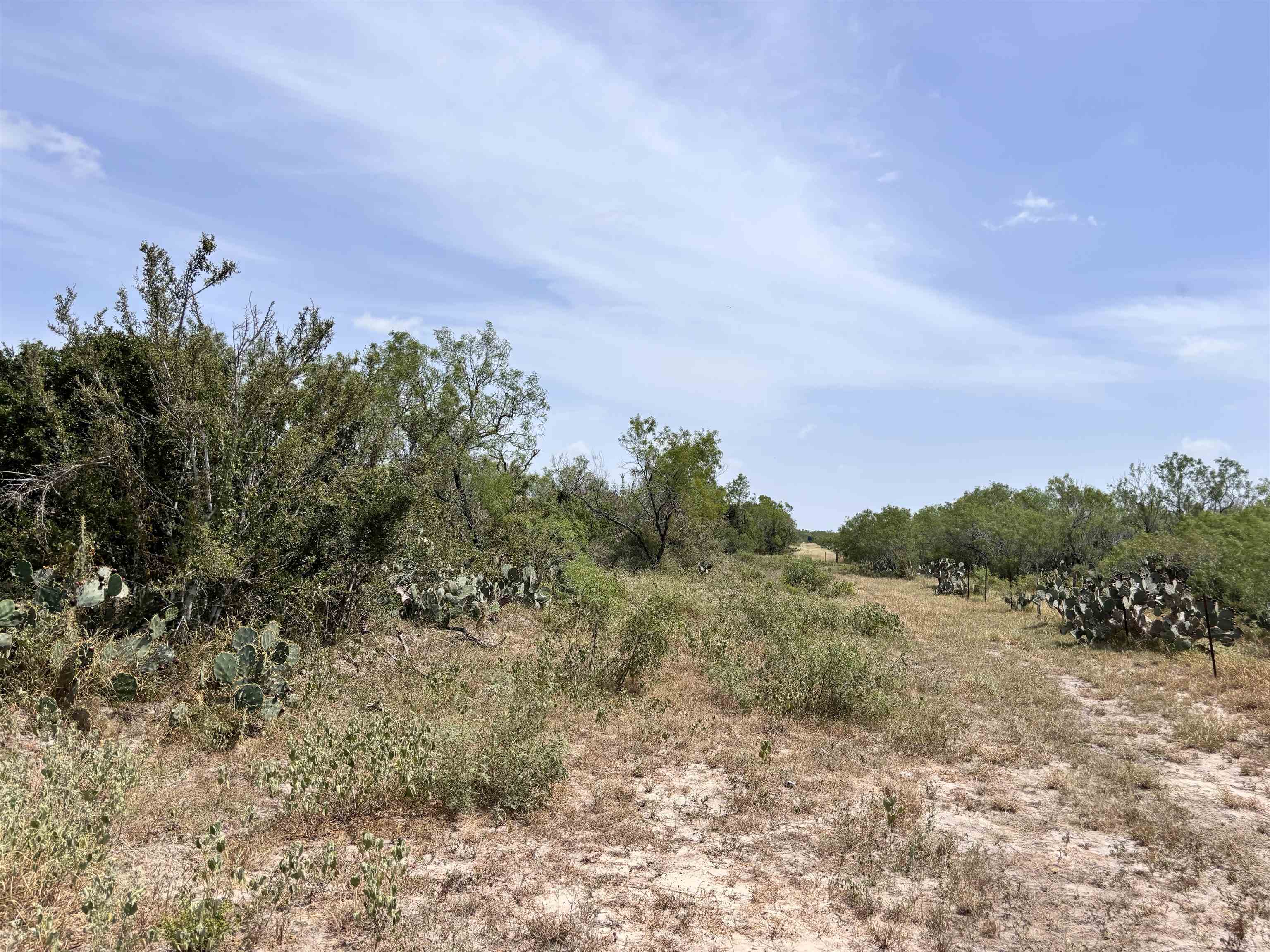 0 U.s. Hwy 359 Property Photo 33