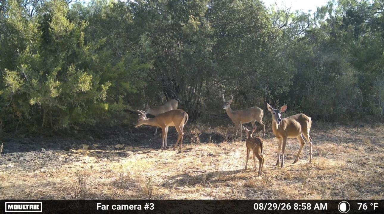 0 U.s. Hwy 359 Property Photo 35