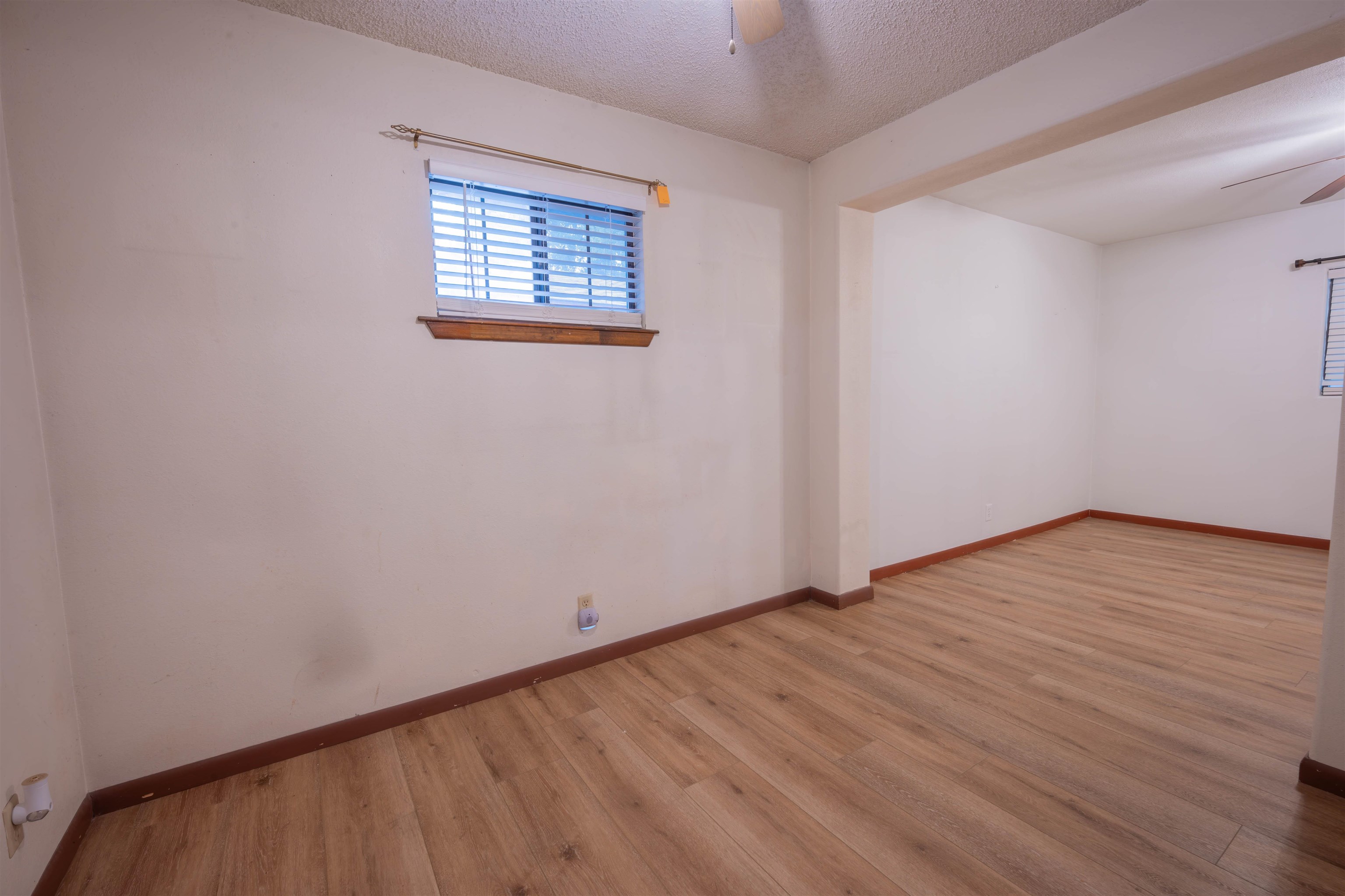 305 Albany Dr Property Photo 11