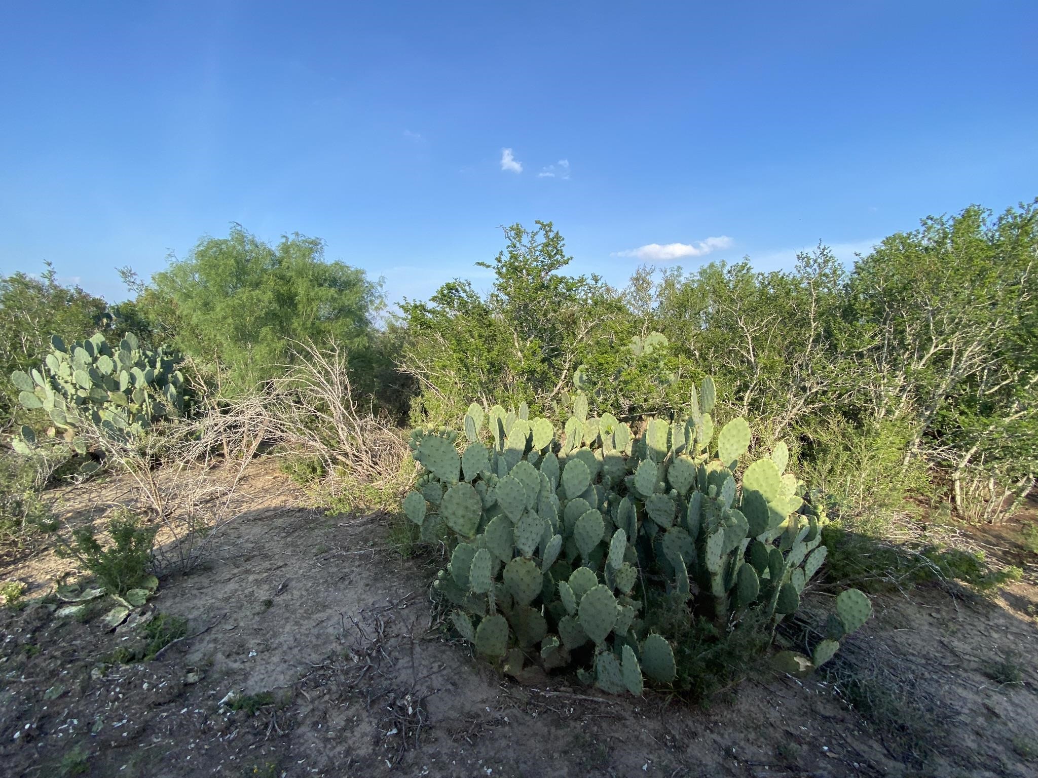 006 Ranch Rd Property Photo 8