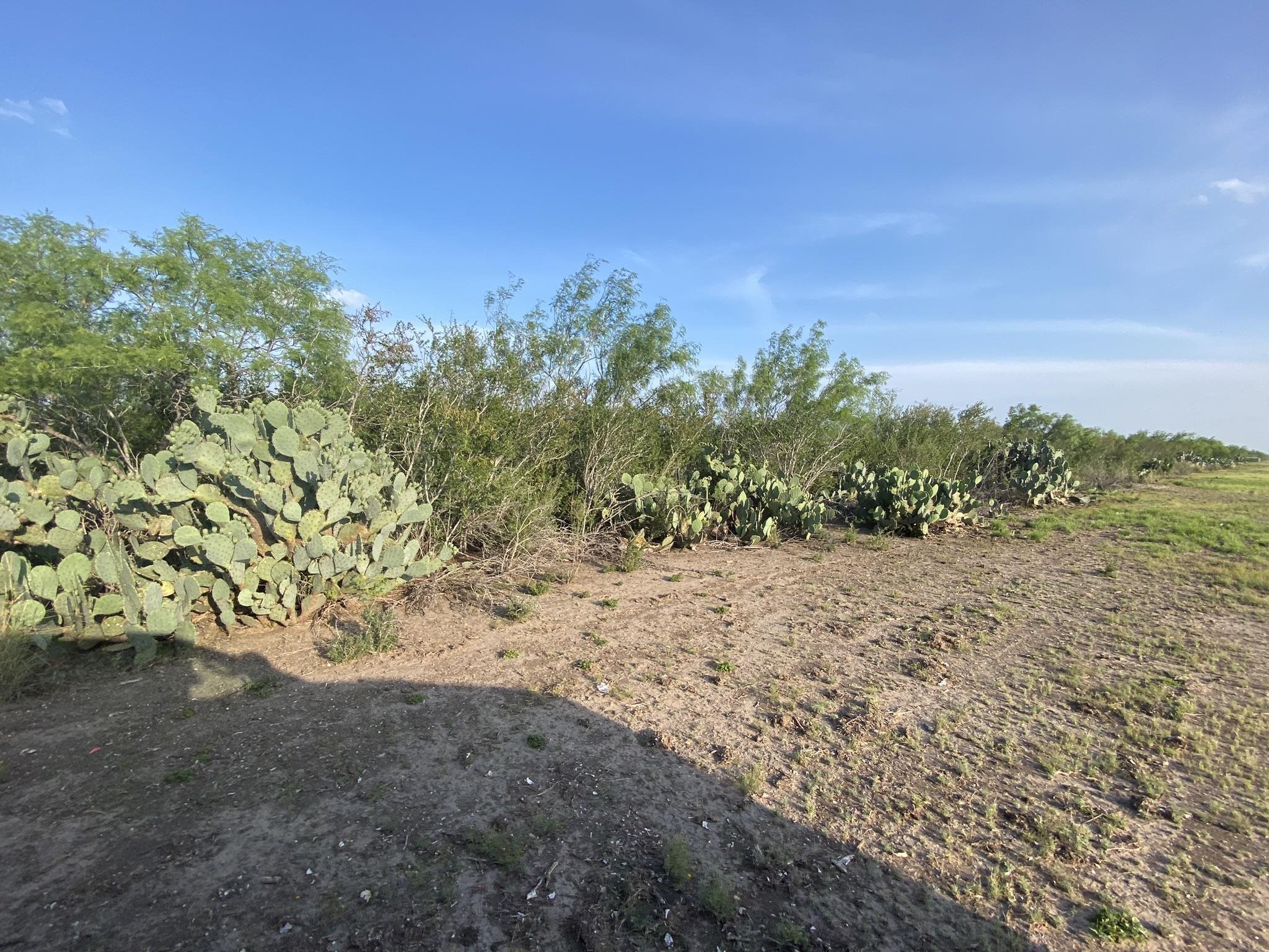 006 Ranch Rd Property Photo 9