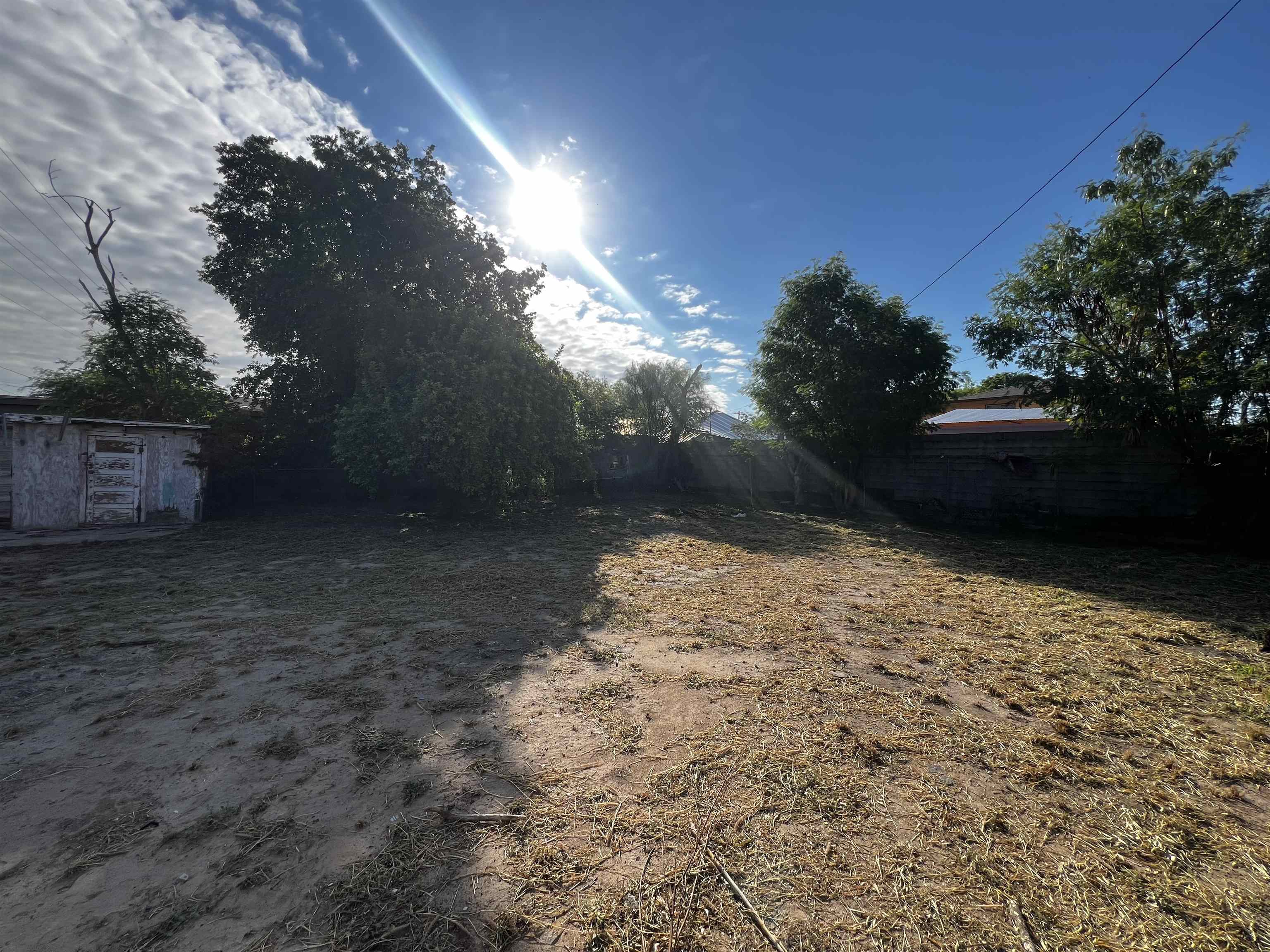 1819 Alamo St Property Photo 4