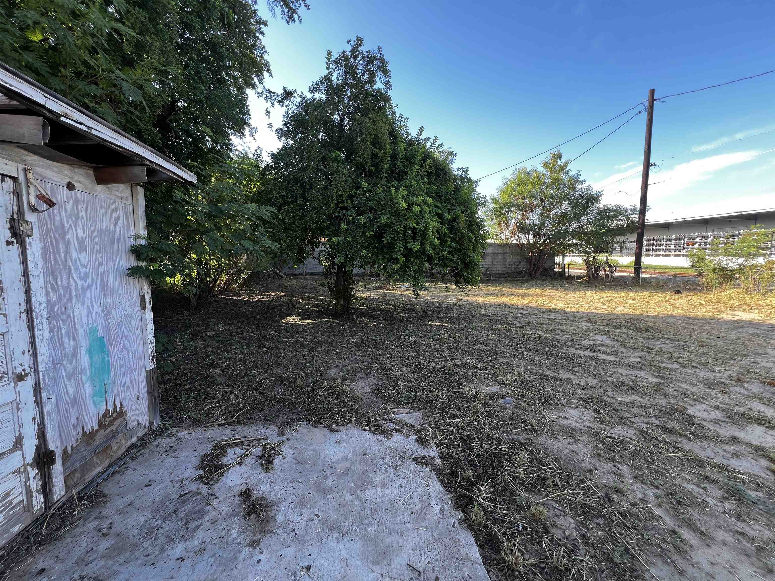 1819 Alamo St Property Photo 8