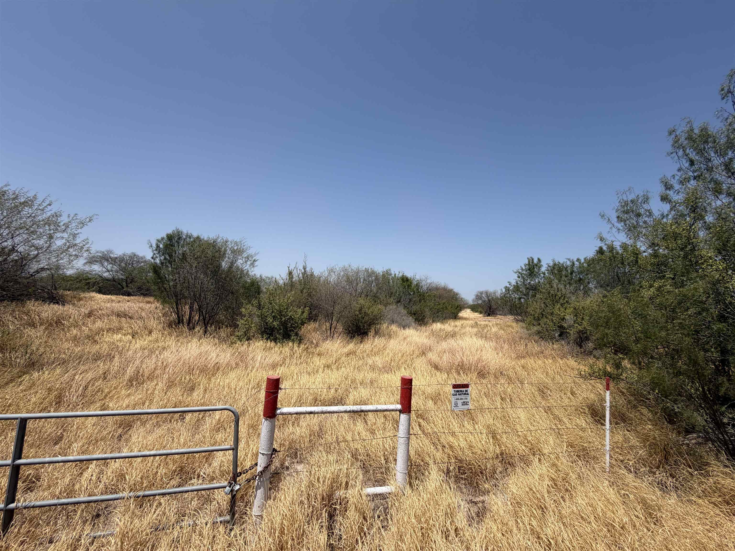 Abst 559 P Bustamante Property Photo 2