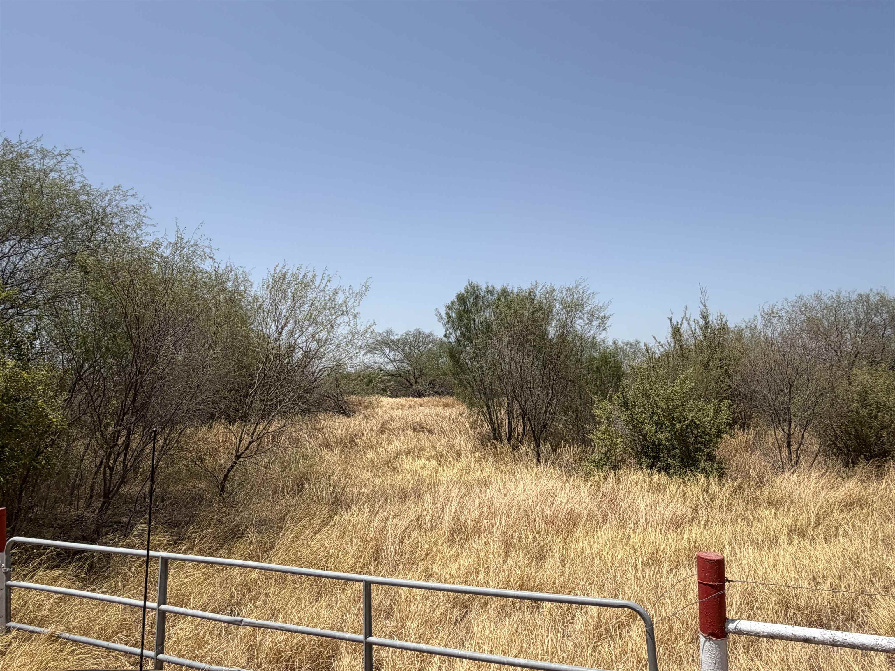 Abst 559 P Bustamante Property Photo 3