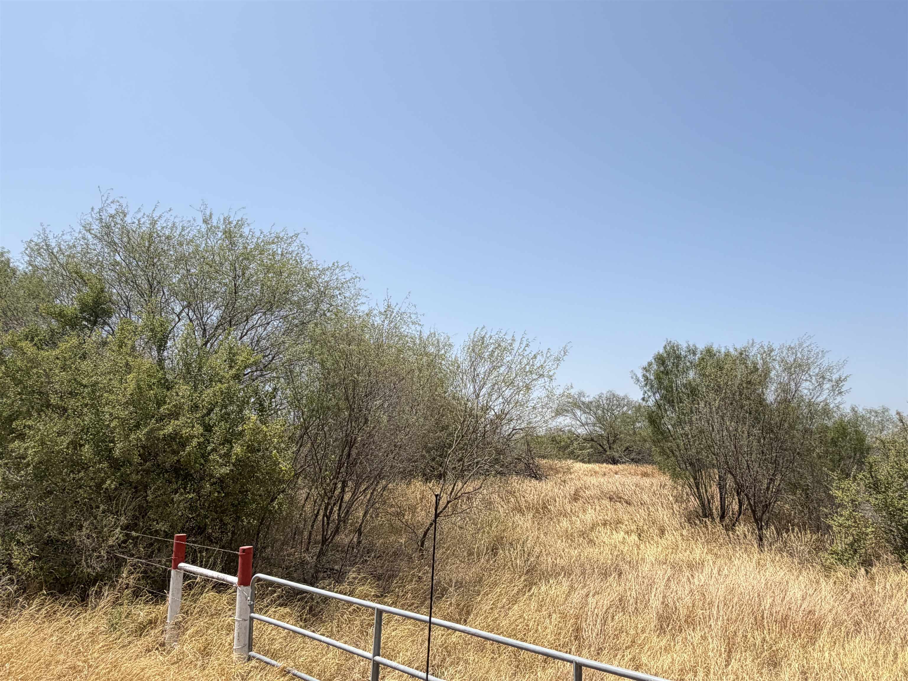 Abst 559 P Bustamante Property Photo 4