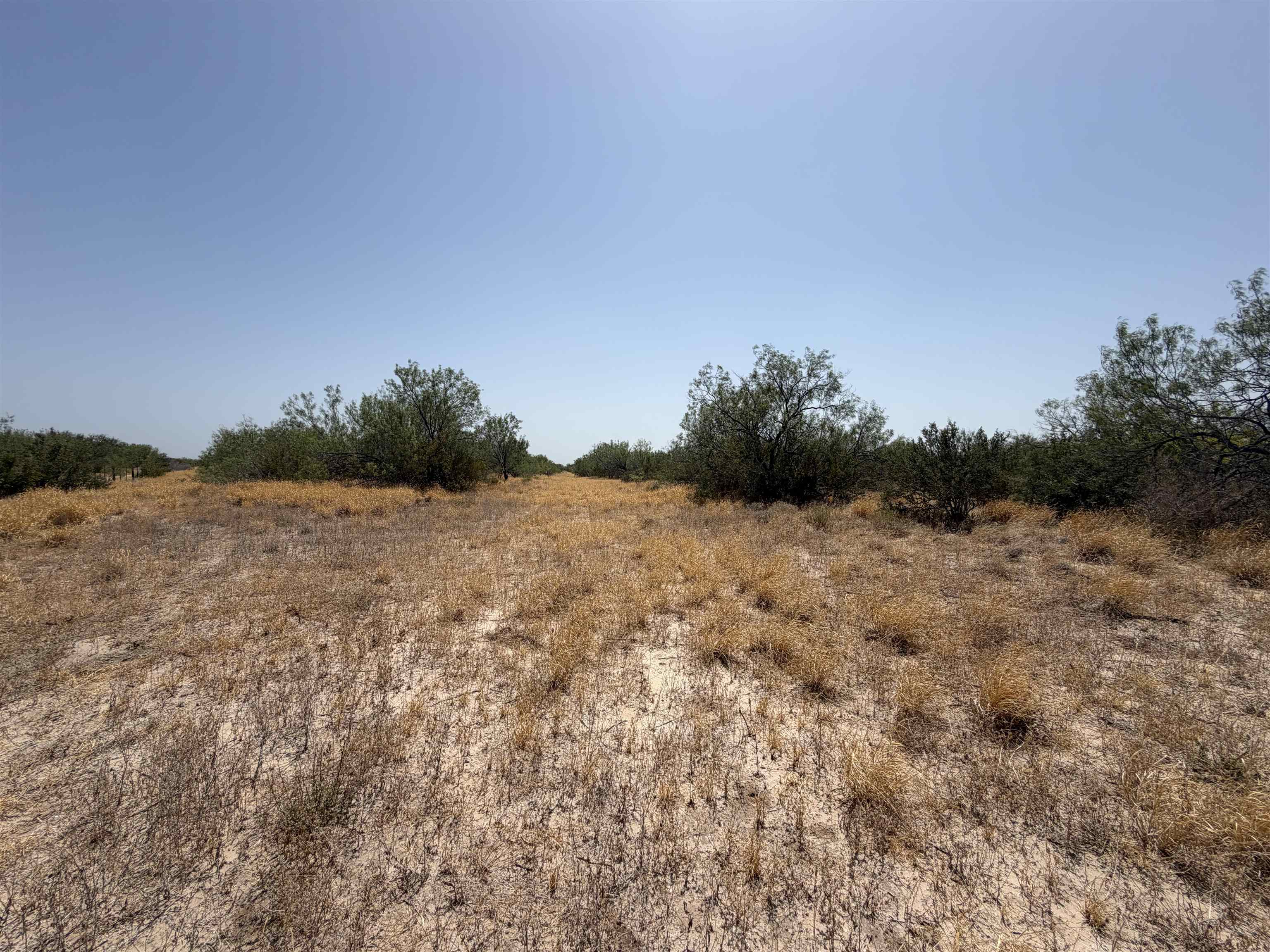 Abst 559 P Bustamante Property Photo 6