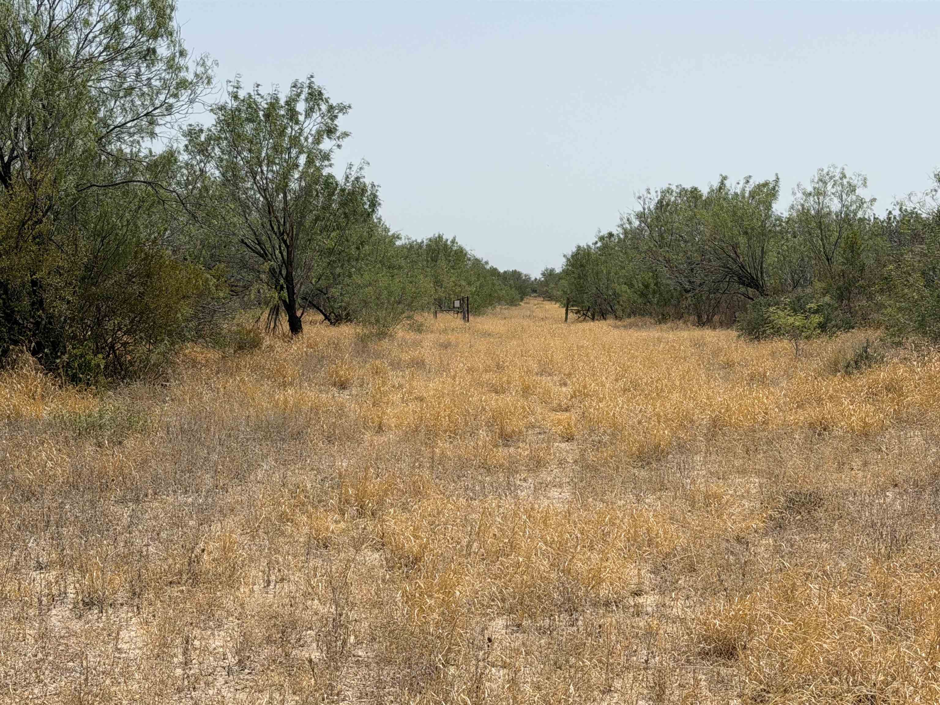 Abst 559 P Bustamante Property Photo 8