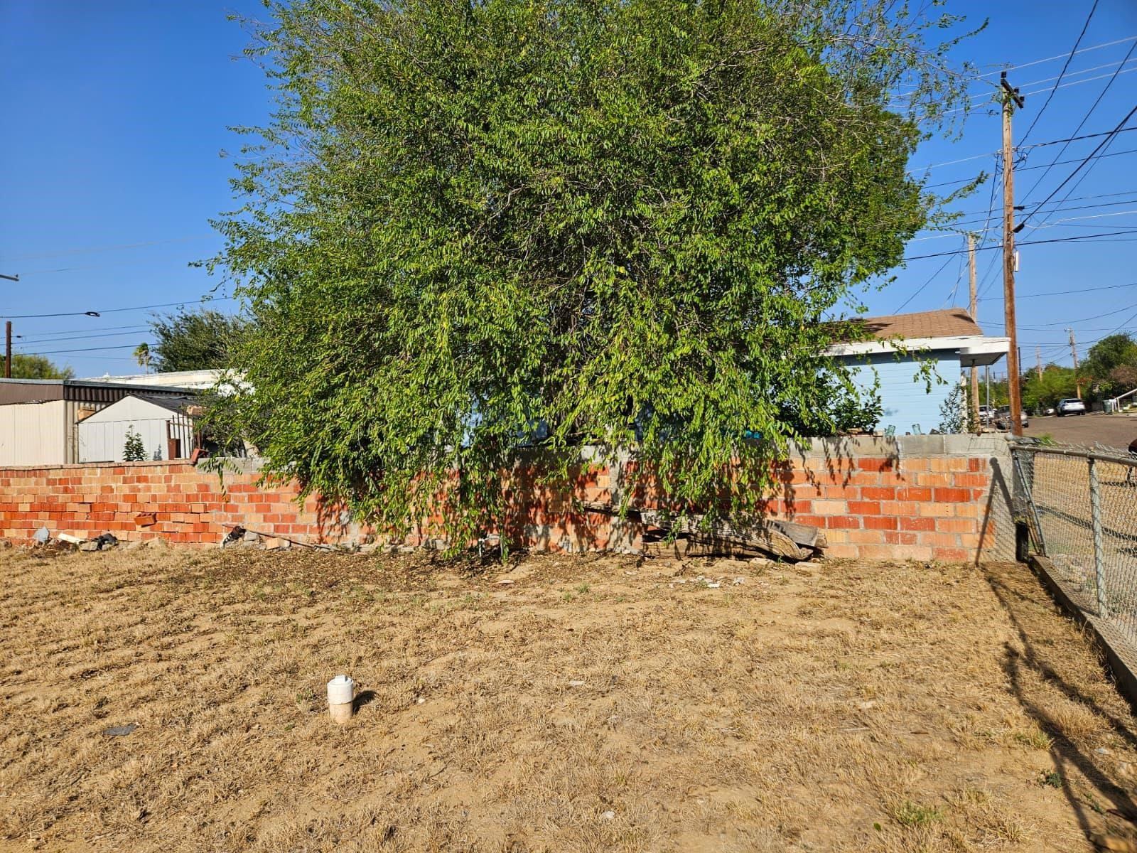 714 Guerrero St Property Photo 13