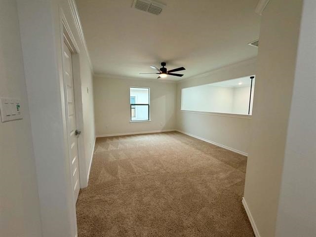 5609 Beefalo St. Property Photo 14